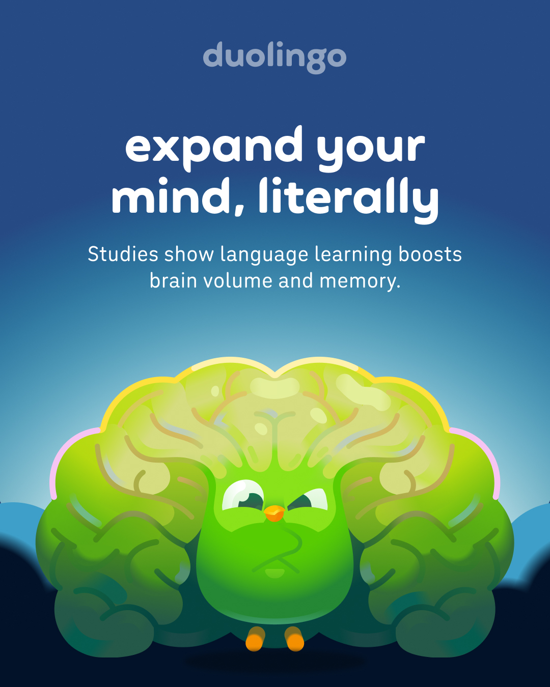 Duolingo Facebook ad