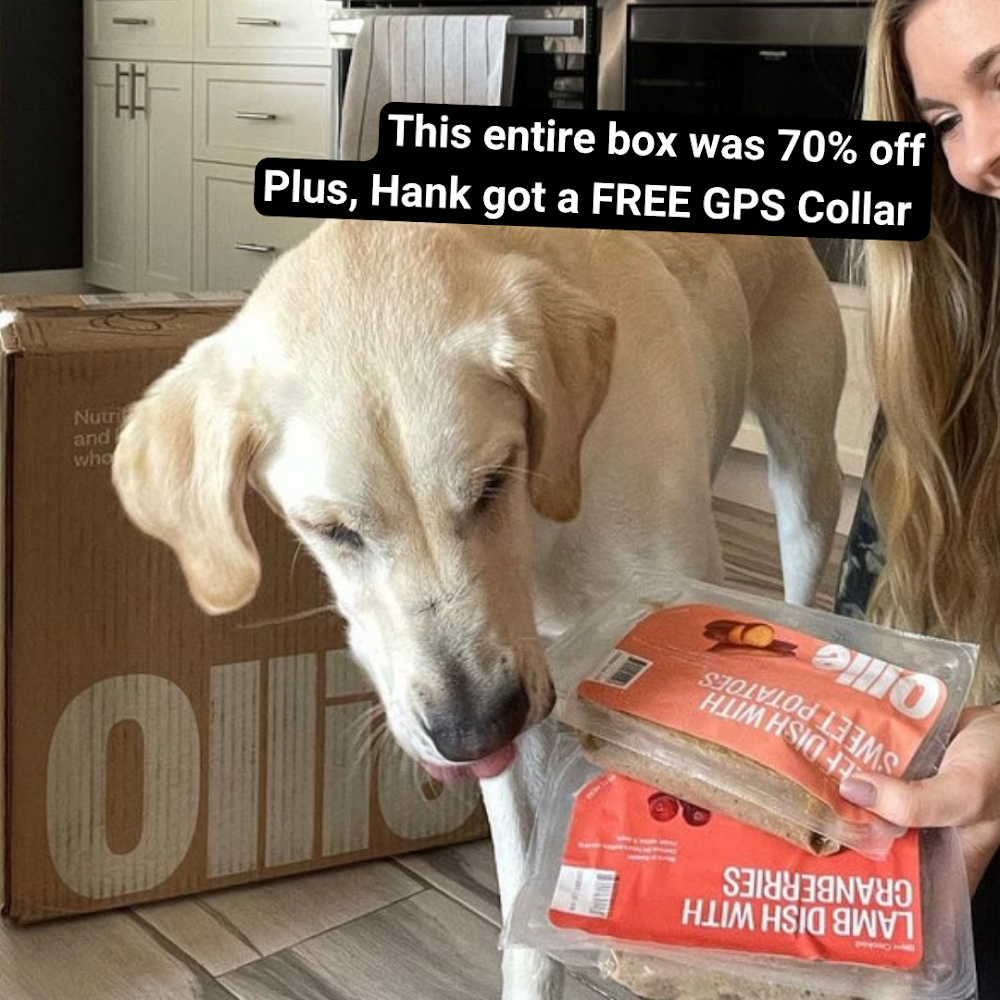 kellysomers Facebook ad