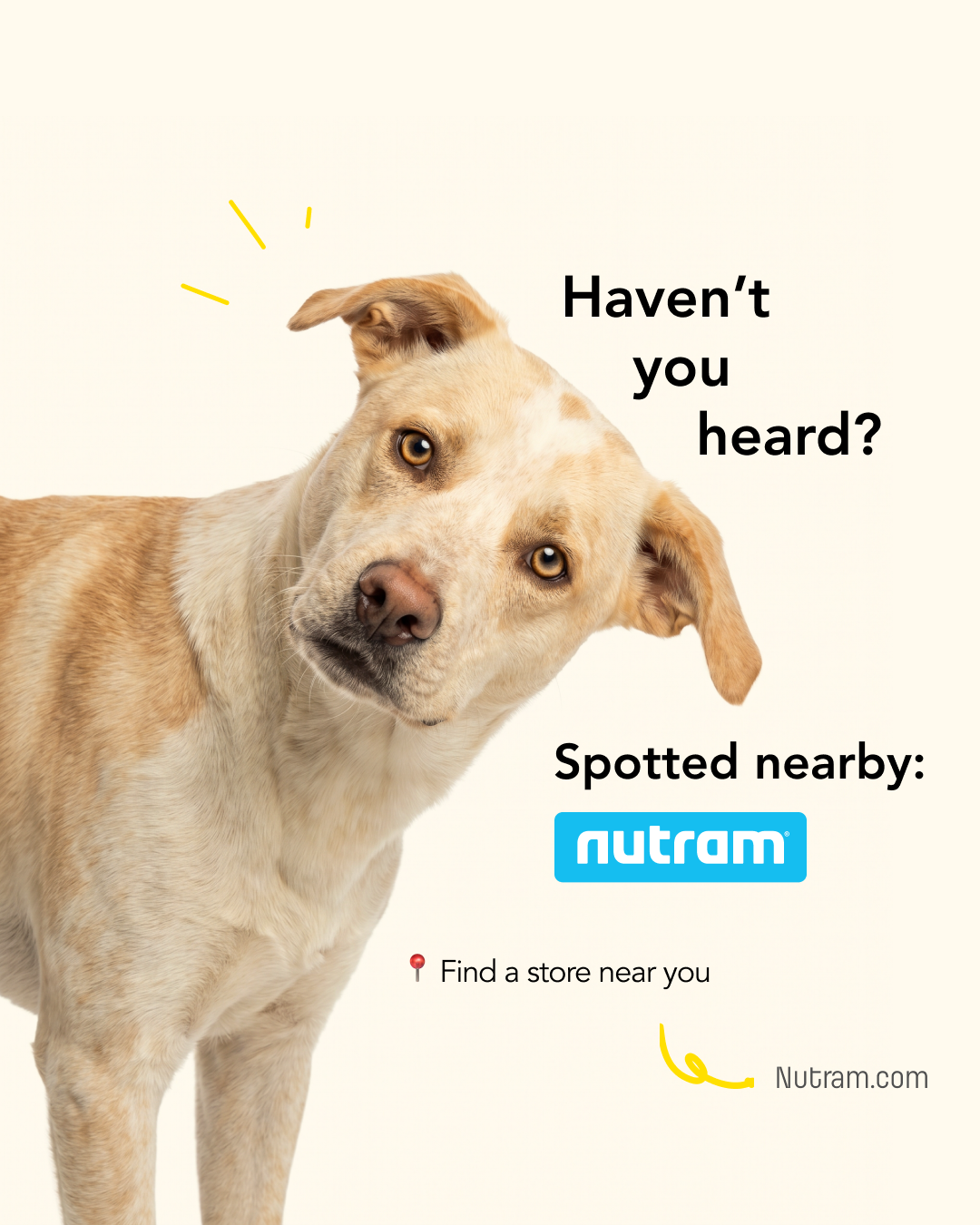 Nutram Pet Products Facebook ad from Jul 29, 2026