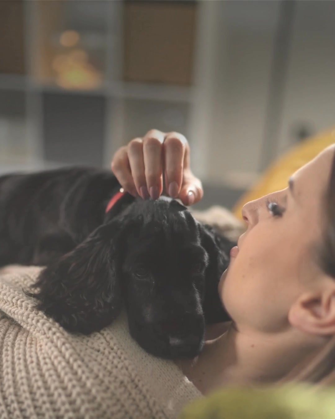 Penn Foster Facebook ad: Online Veterinary Tech Program