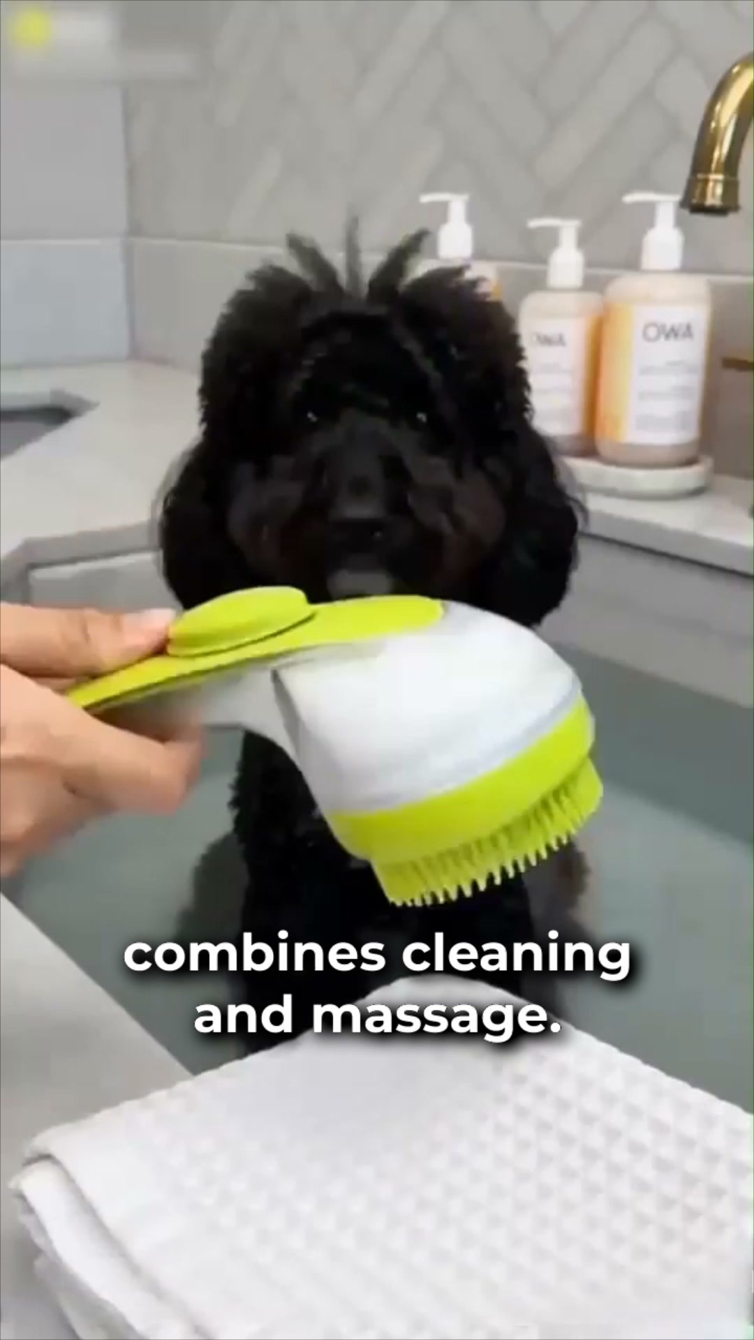 Australian Paws Facebook ad: #1 Gentle Fur Cleaning