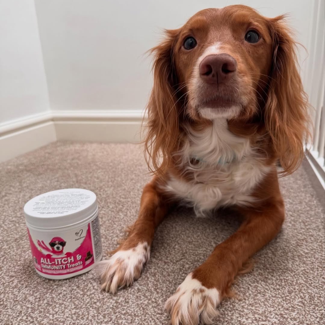Nutri Paw Facebook ad
