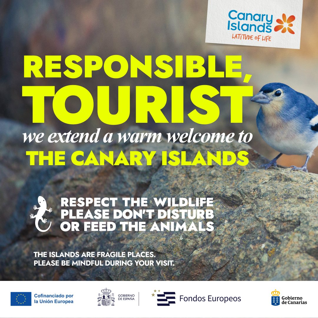 Canary Islands Facebook ad