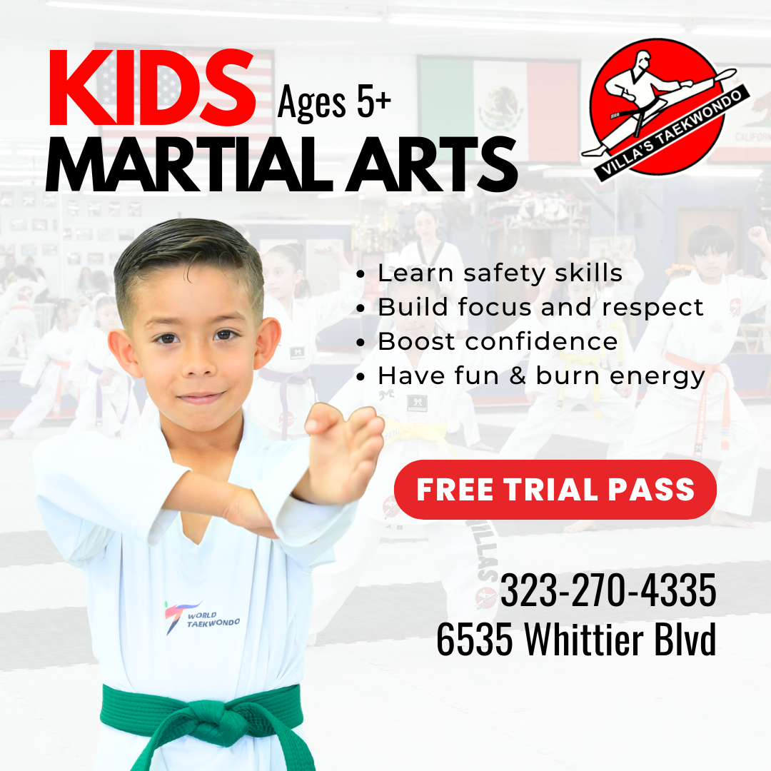 Villa’s Taekwondo Facebook ad: Kids Taekwondo (Ages 5+) | Free Trial Pass