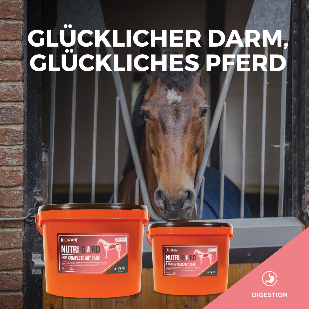 Foran Equine Facebook ad