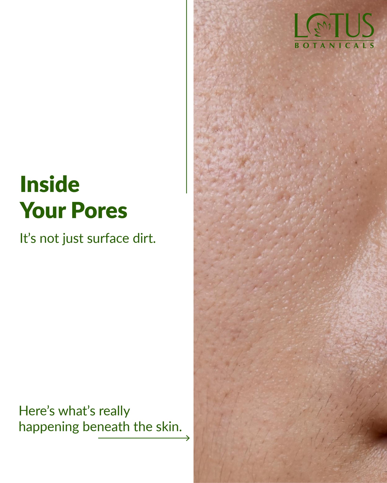 Lotus Botanicals Facebook ad