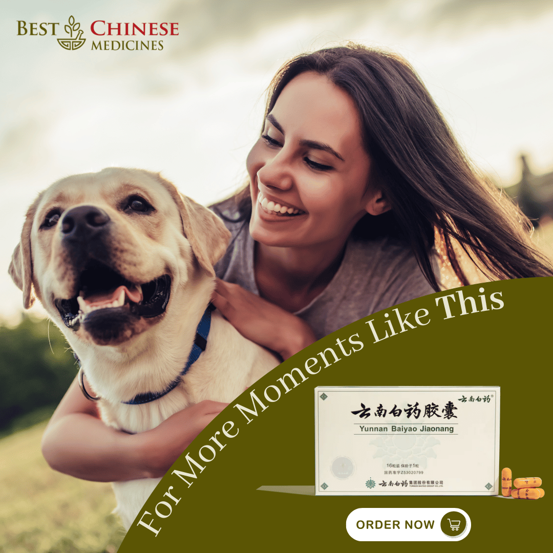 Best Chinese Medicines Facebook ad: Give Your Dog the Support They Deserve