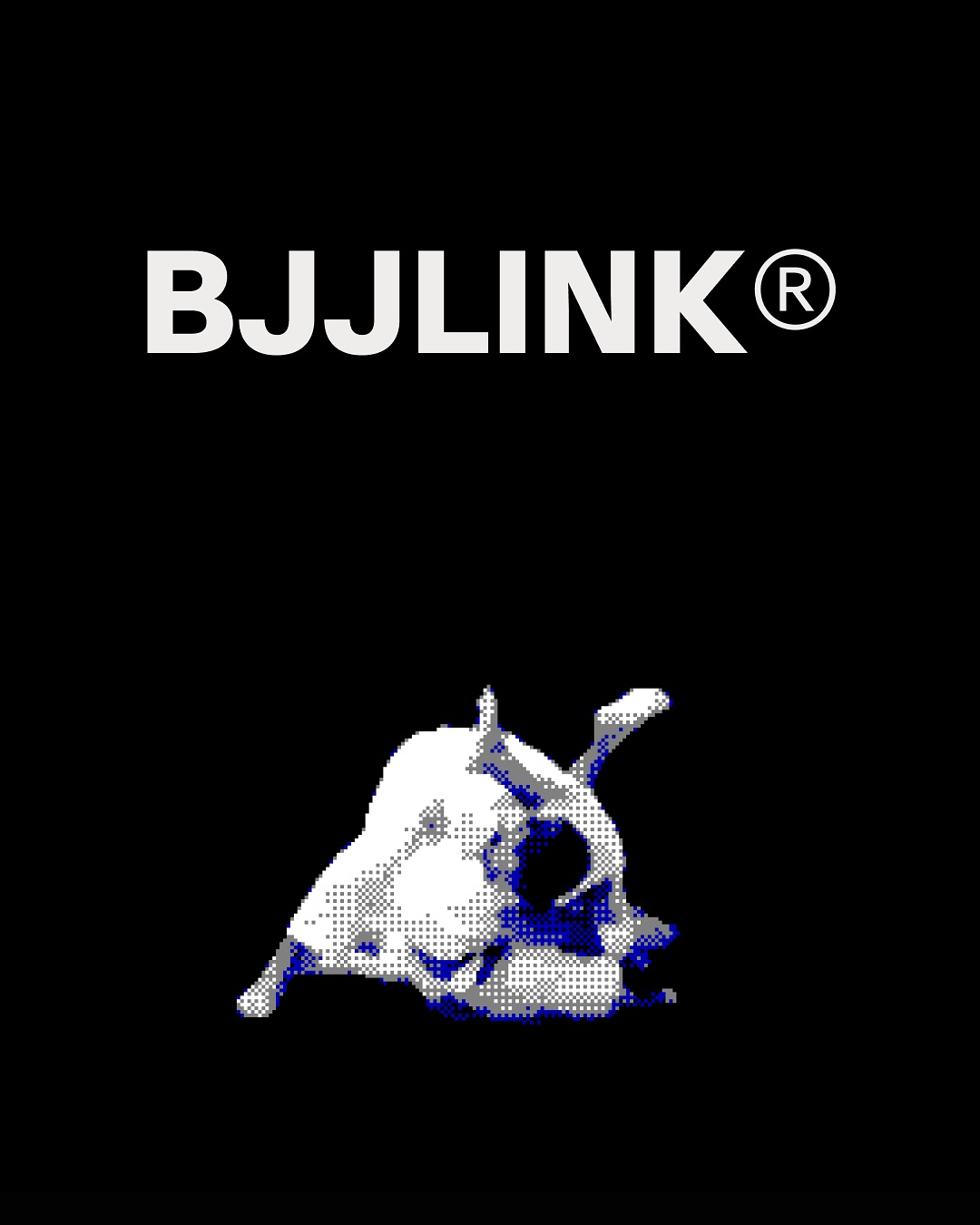 BJJLink Facebook ad
