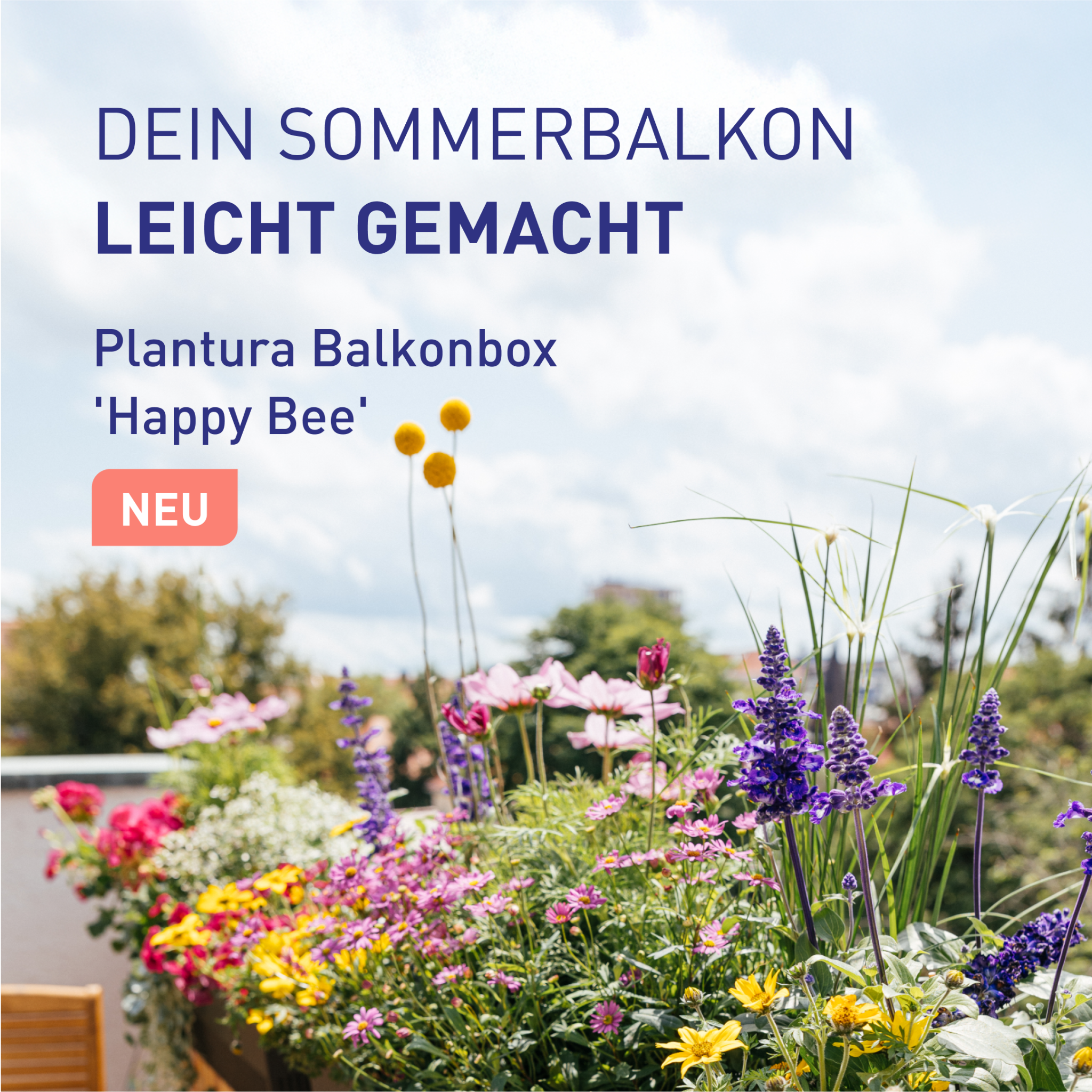 Plantura Facebook ad