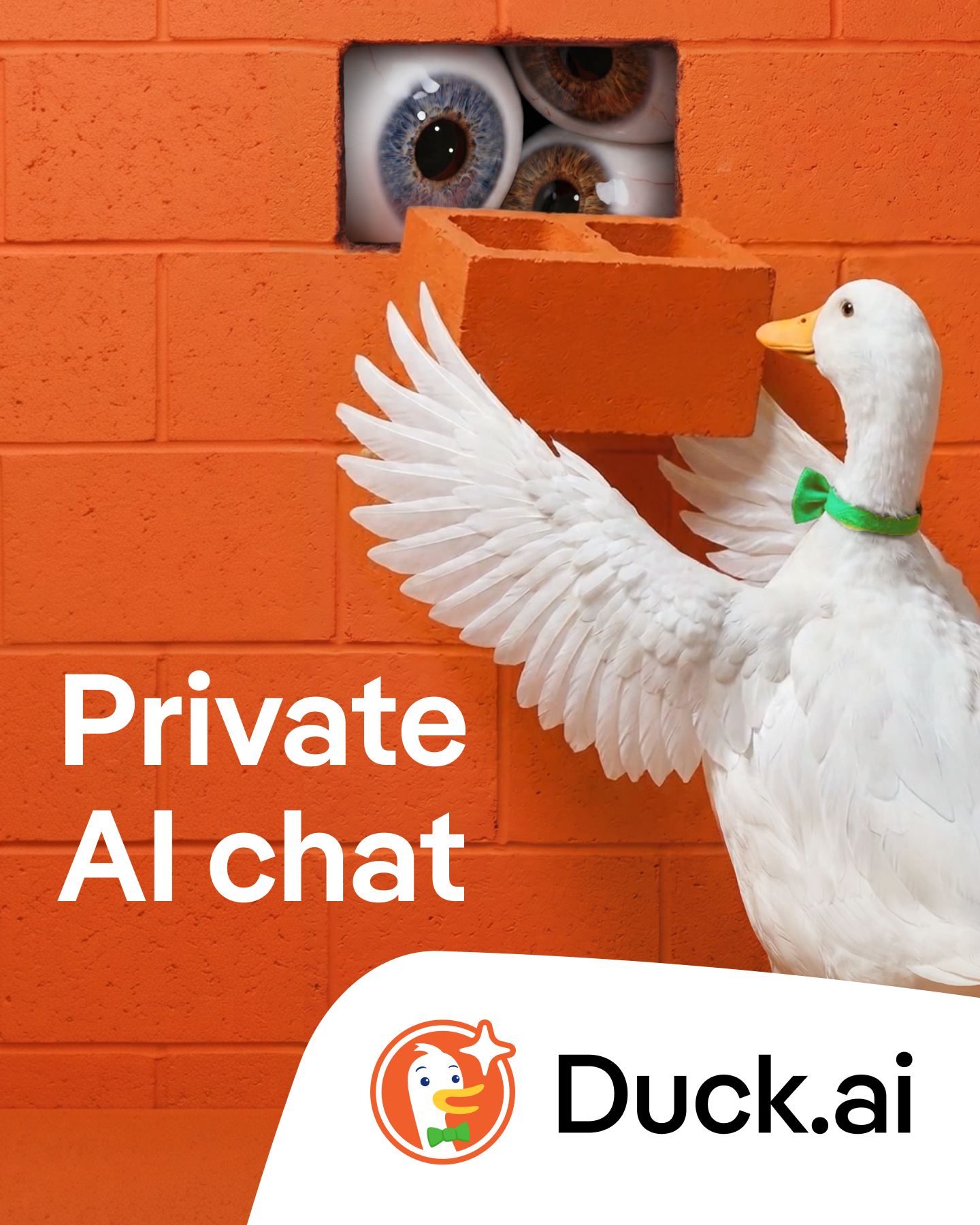 DuckDuckGo Facebook ad