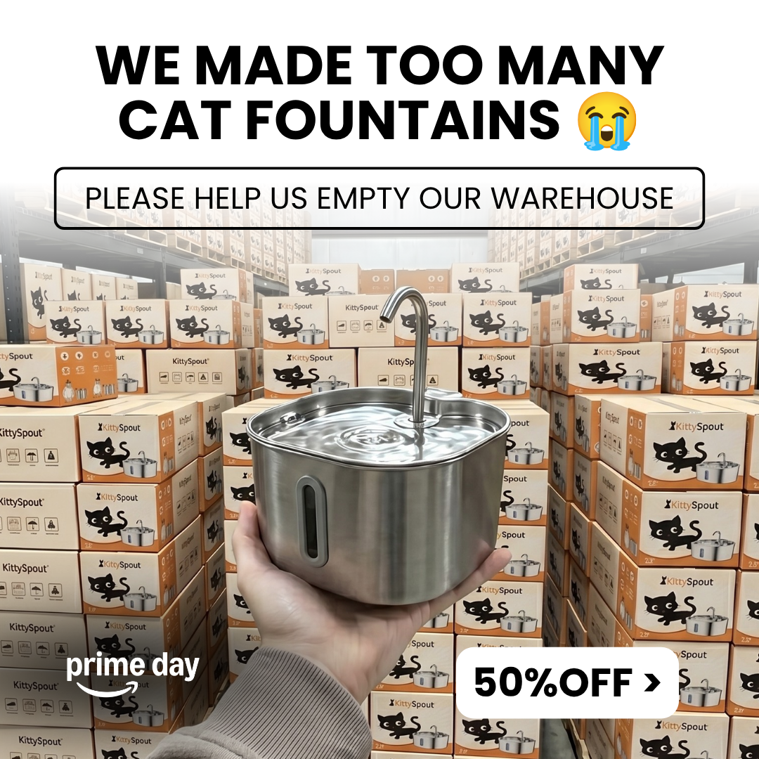 KittySpout Facebook ad