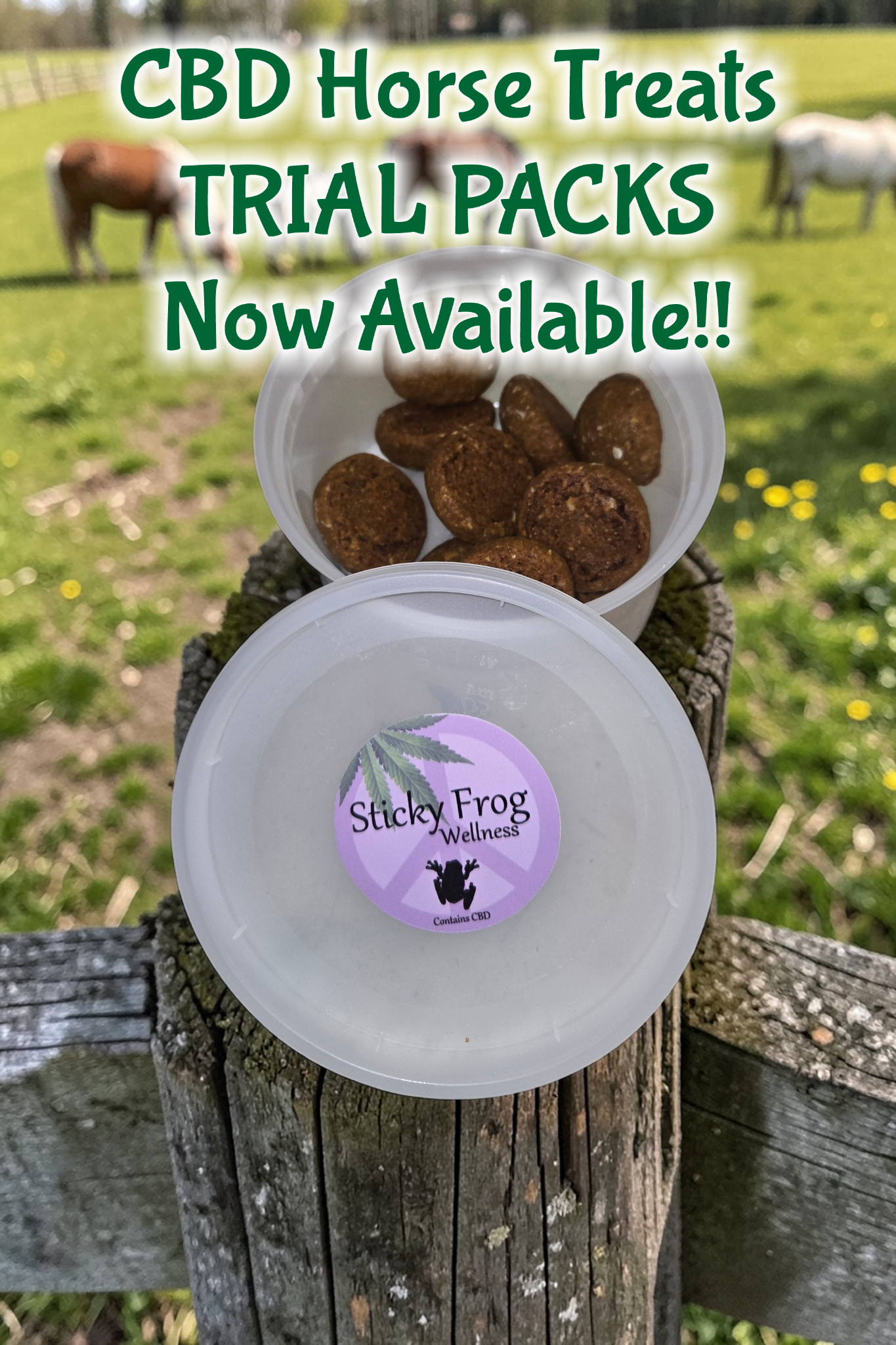 Sticky Frog Wellness - CBD Facebook ad from May 18, 2026