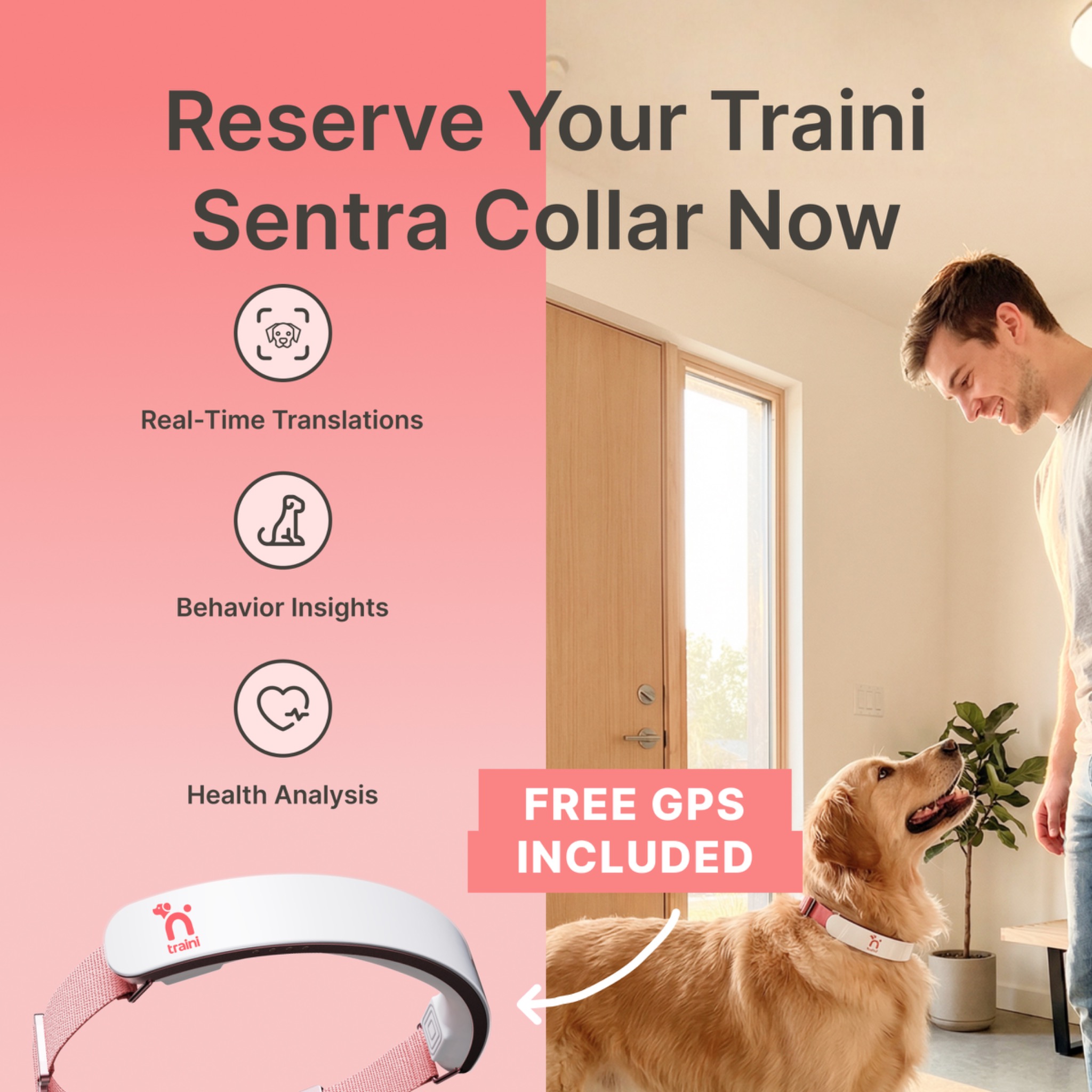 Traini- Dog training & Petgpt Facebook ad from May 5, 2026