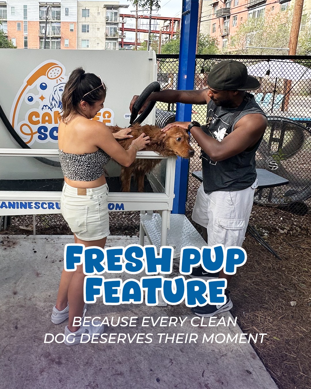 Canine Scrub Club Facebook ad: Canine | Scrub Club
