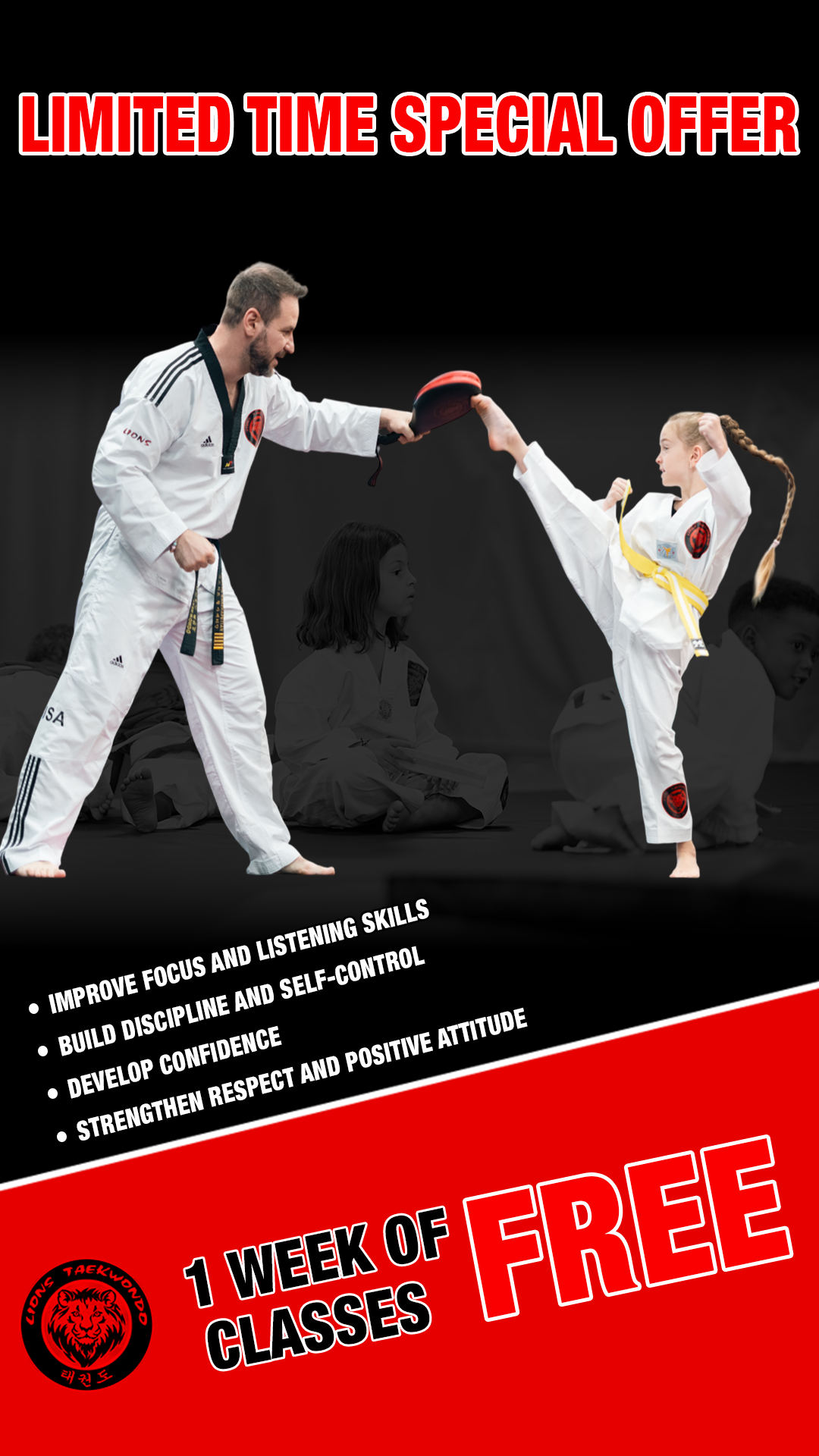 Lions TaeKwonDo Academy Facebook ad