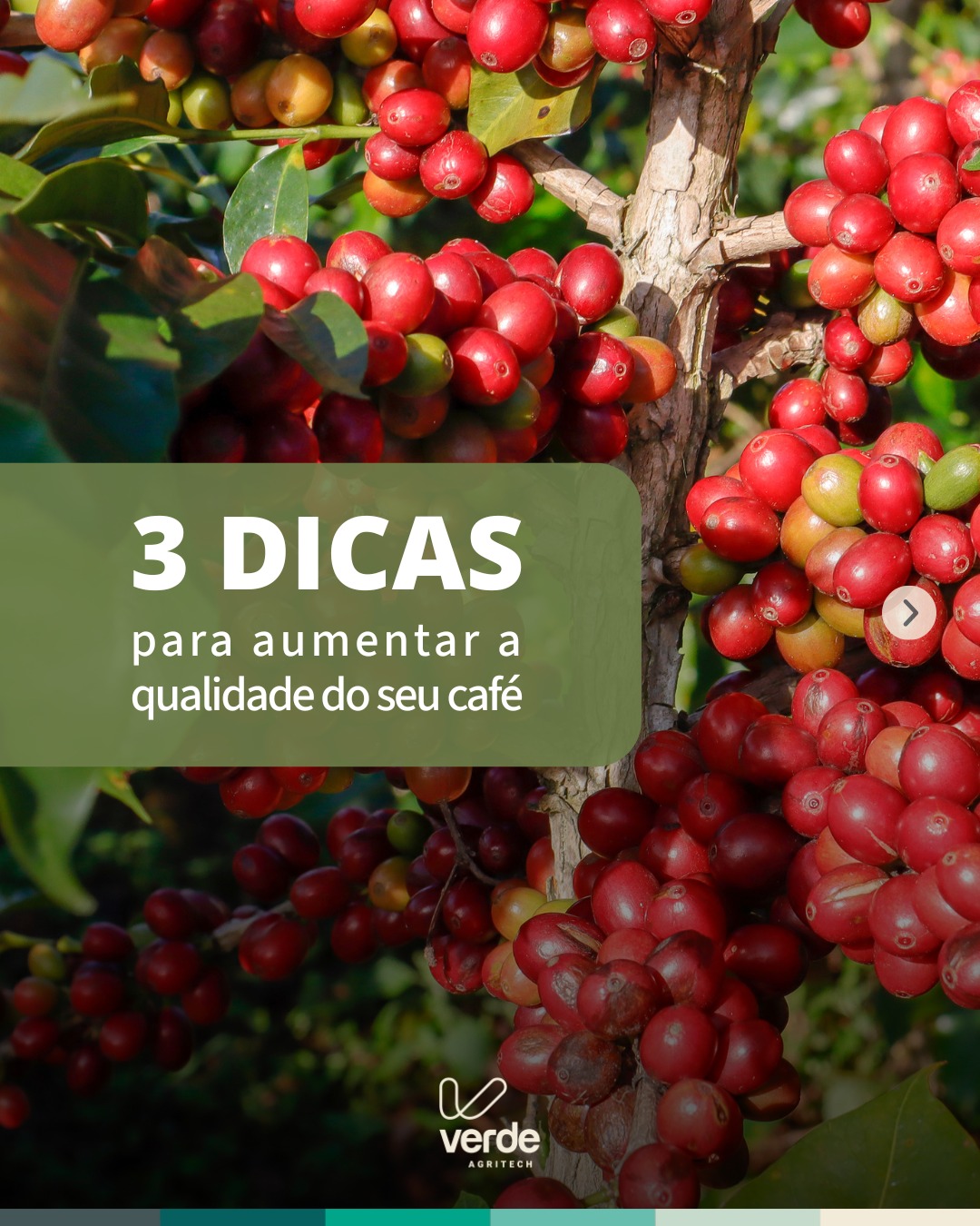 Verde Agritech Facebook ad: Quer um café de maior qualidade, saudável e…