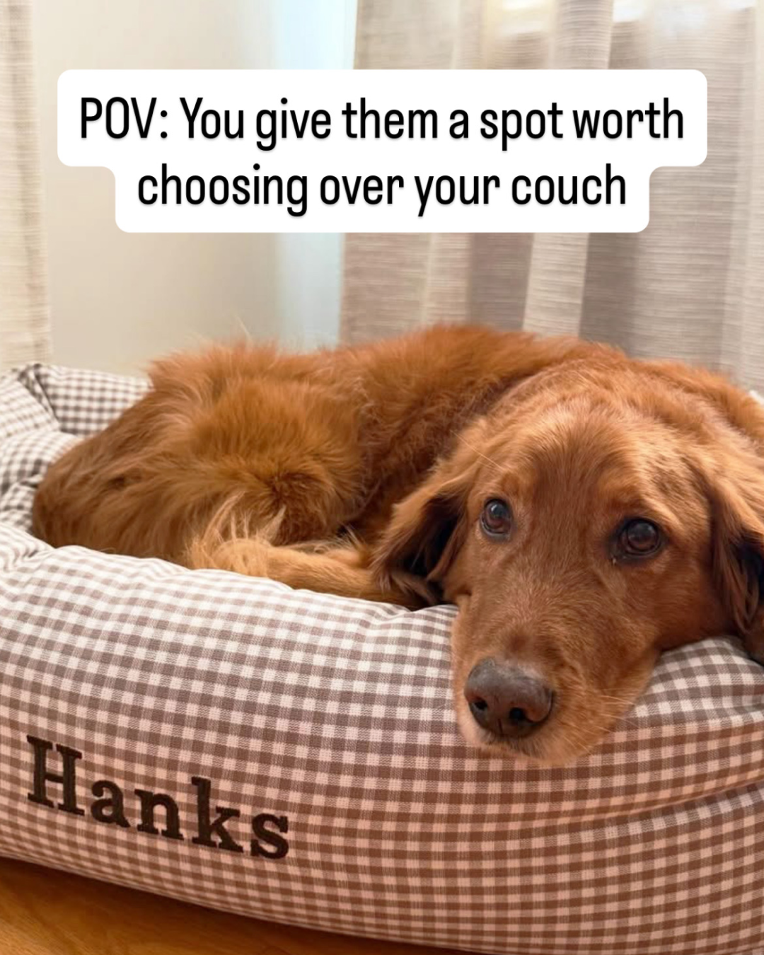 The Foggy Dog Facebook ad