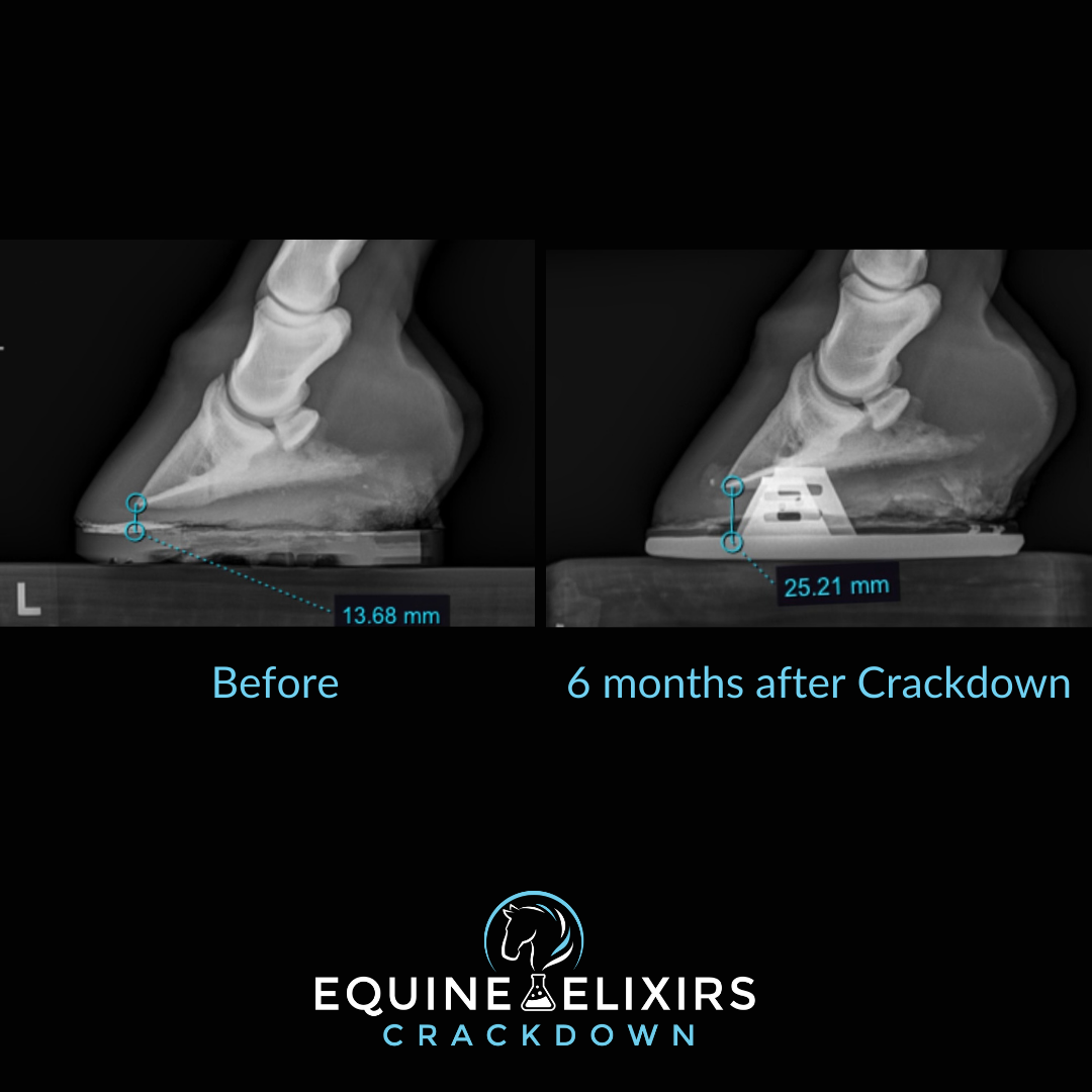 Equine Elixirs Facebook ad: Crackdown - All Natural, Show Safe Hoof Support