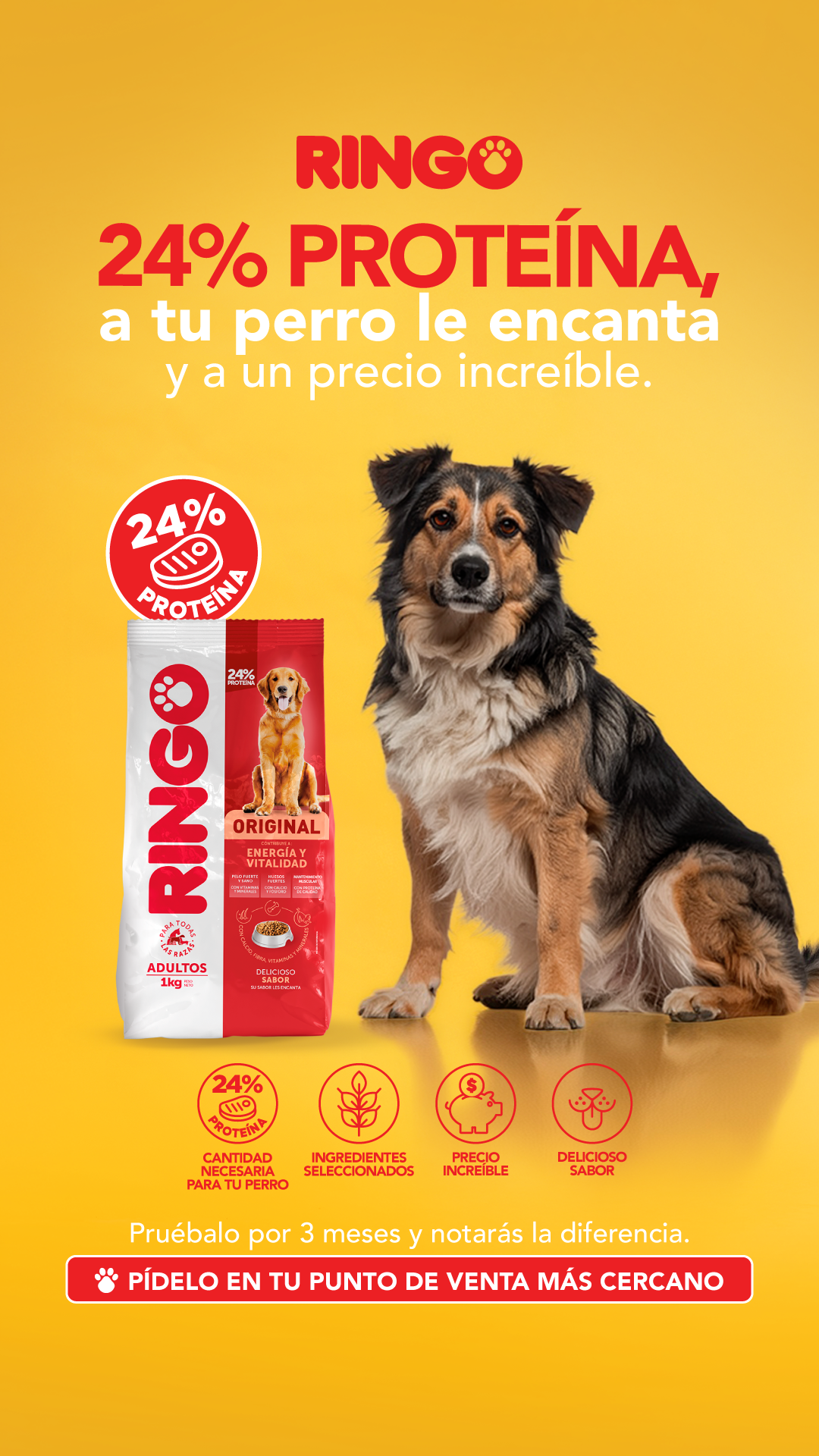 EfectoRingo Facebook ad