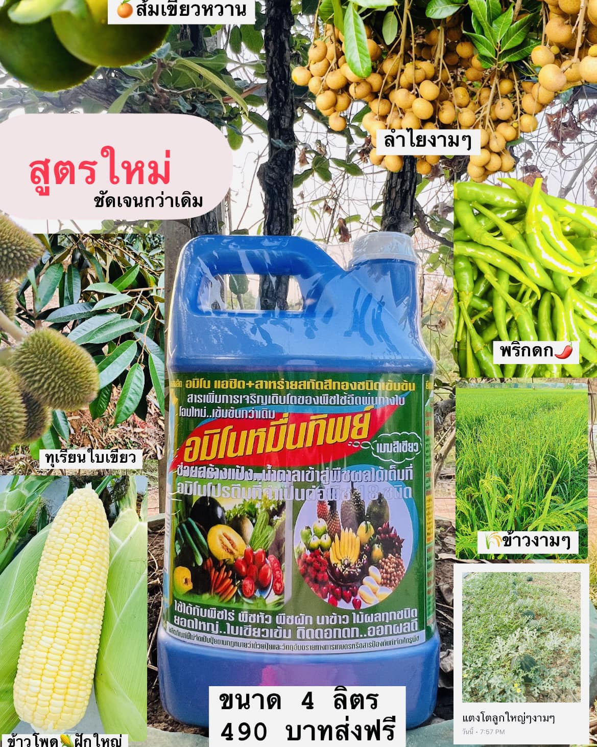 พุทธเกษตร เกษตรไม่มีวันจน Facebook ad: แชทใน Messenger