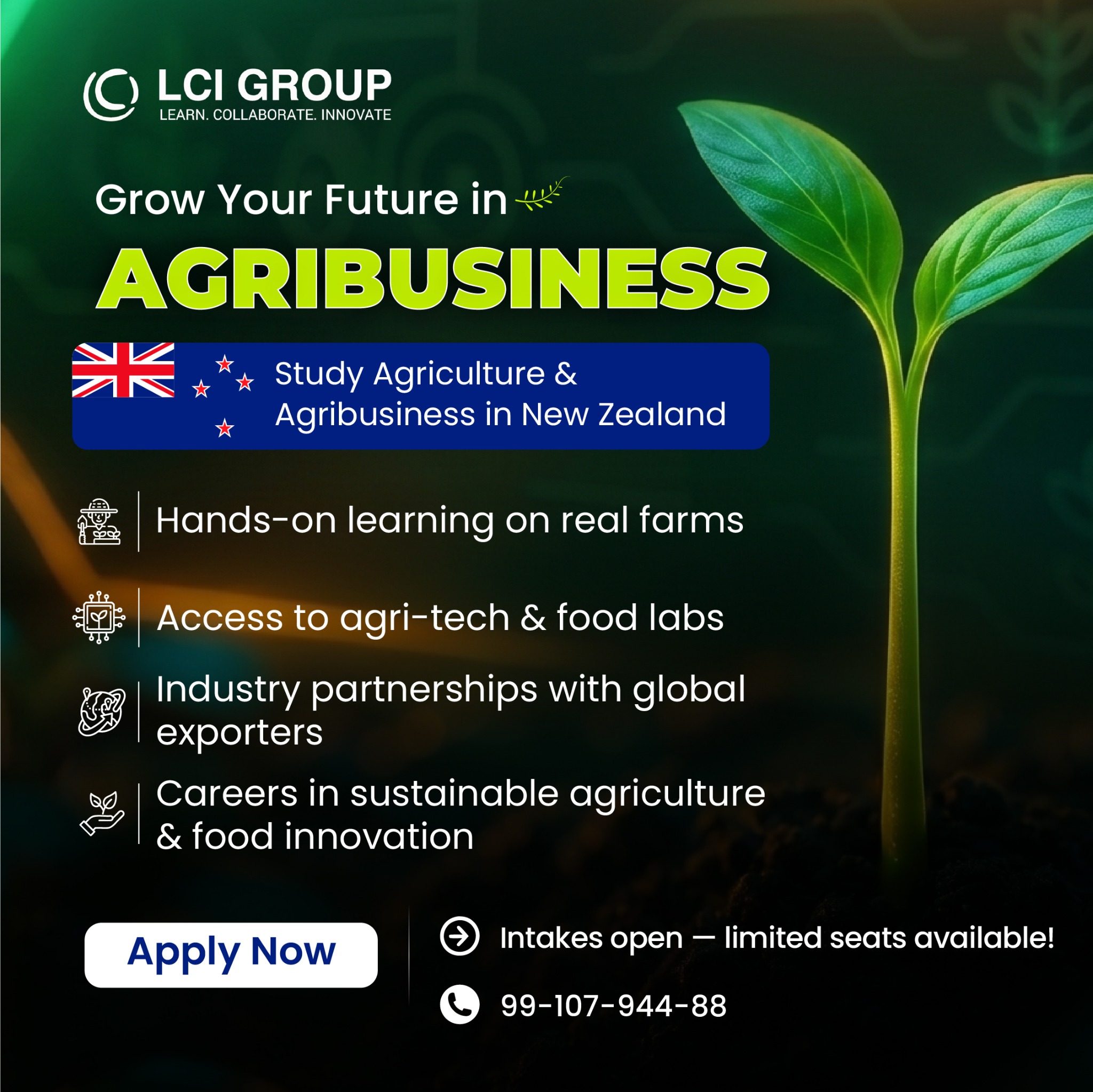LCI Group Facebook ad