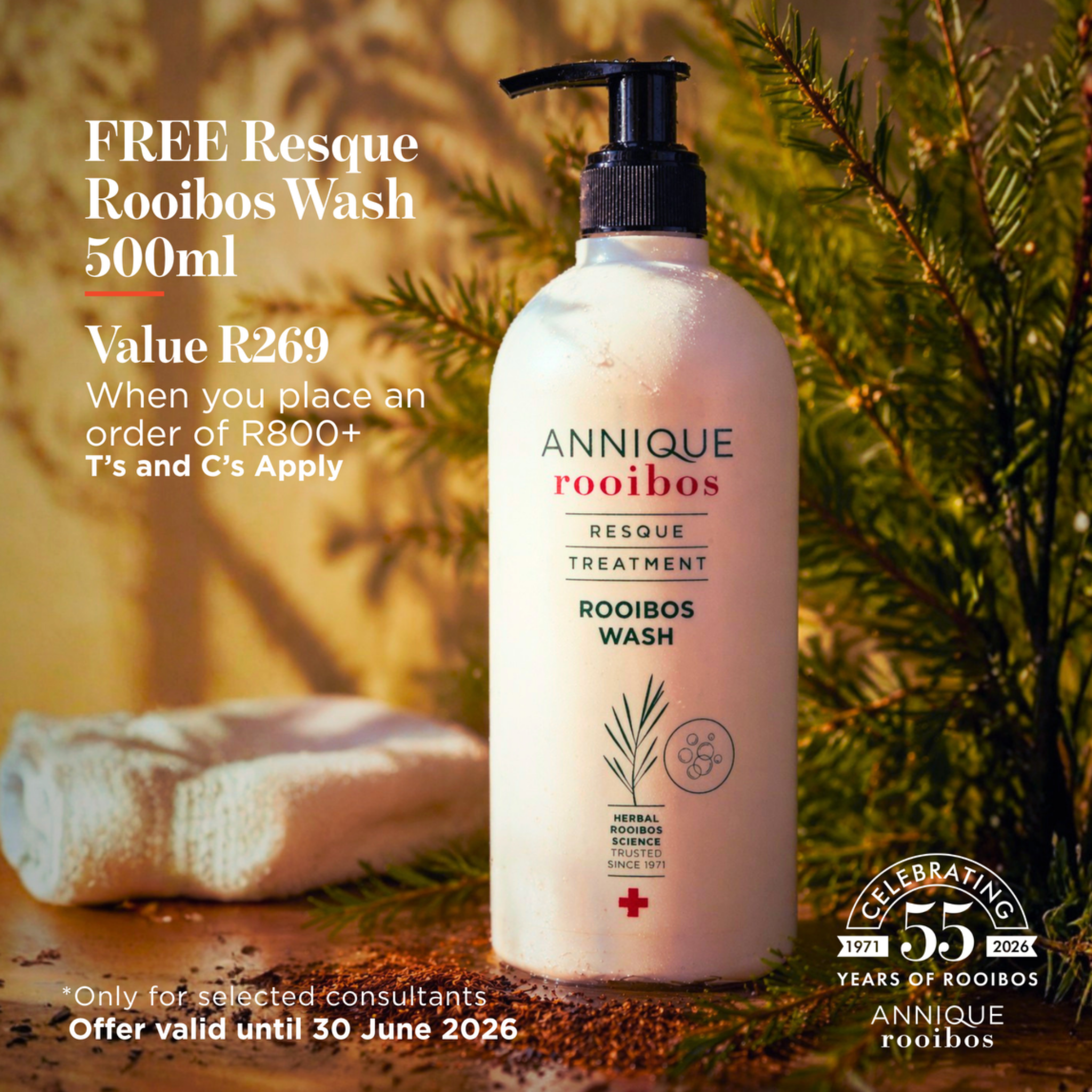 Annique Rooibos Home Office Facebook ad