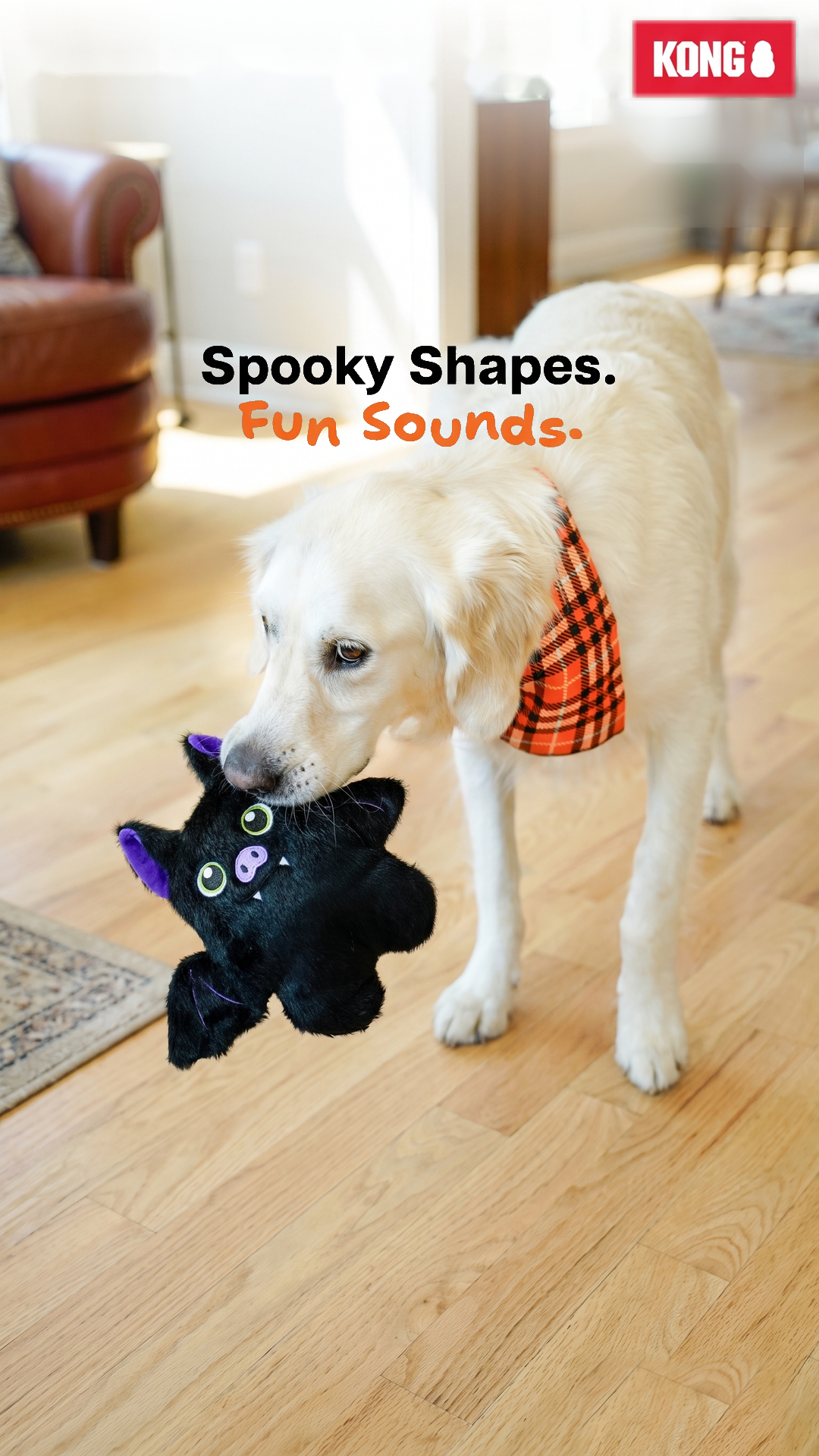 KONG Facebook ad: Seasonal Look. Same Cuddle.
