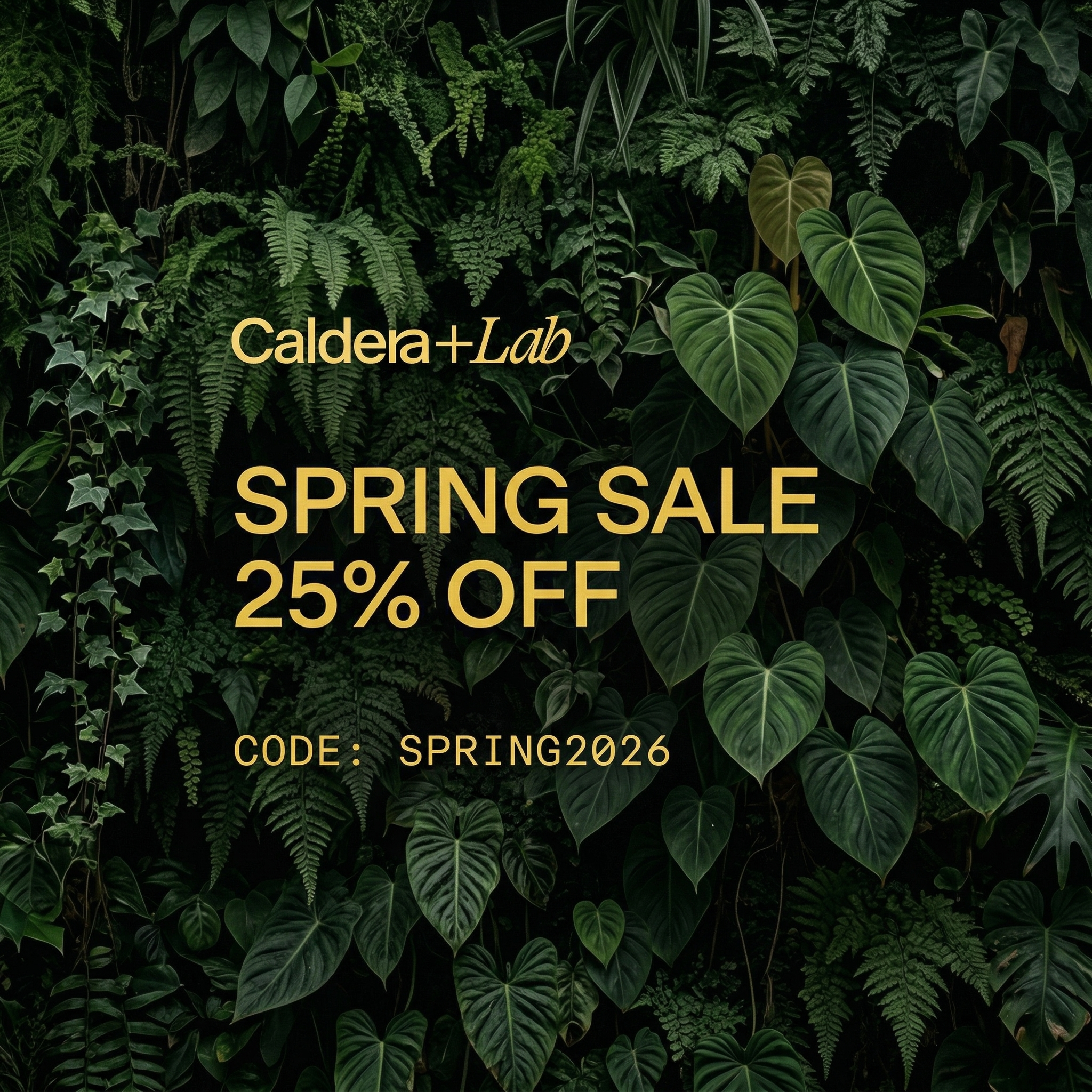 Caldera + Lab Facebook ad