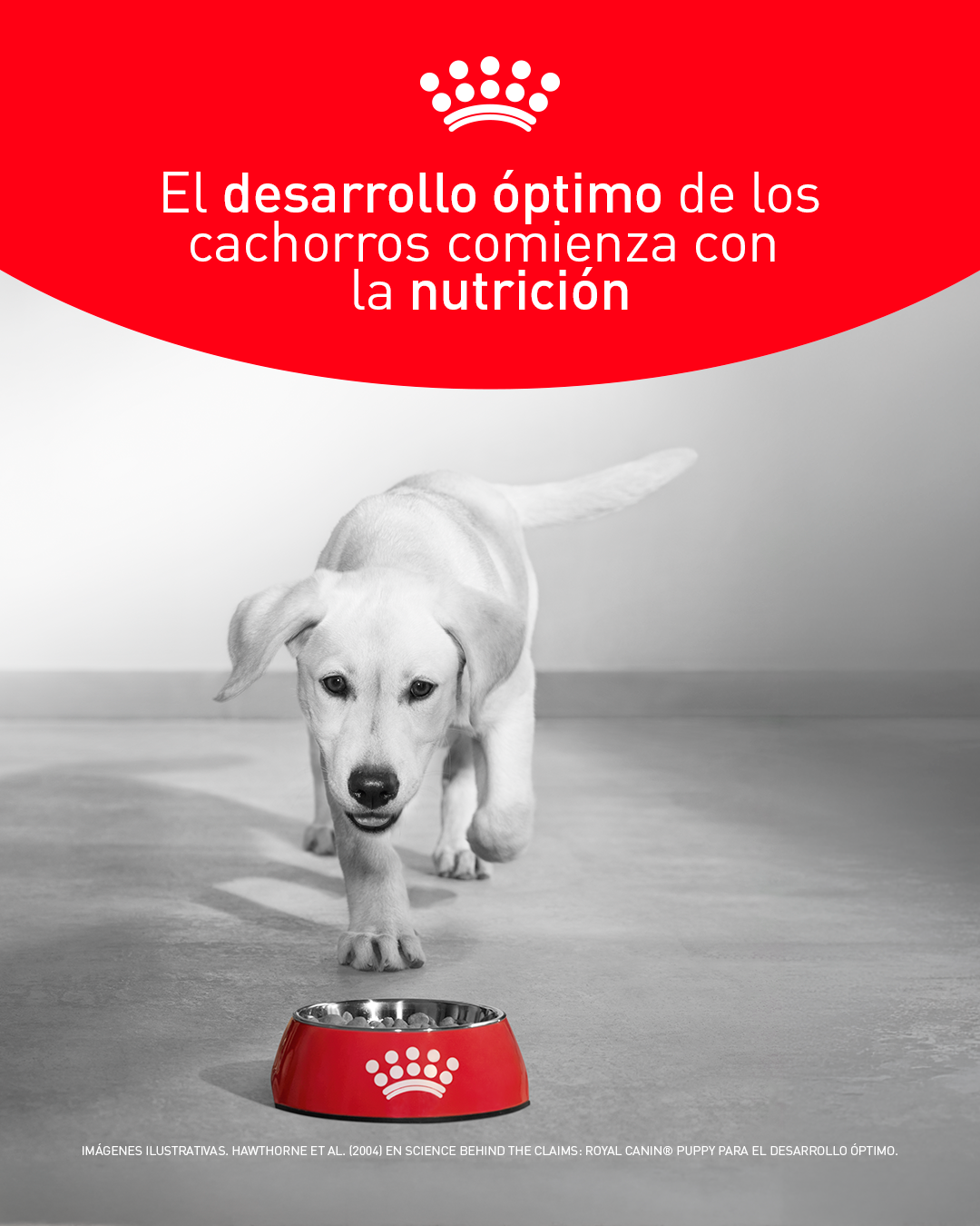 Royal Canin Facebook ad from Aug 13, 2026