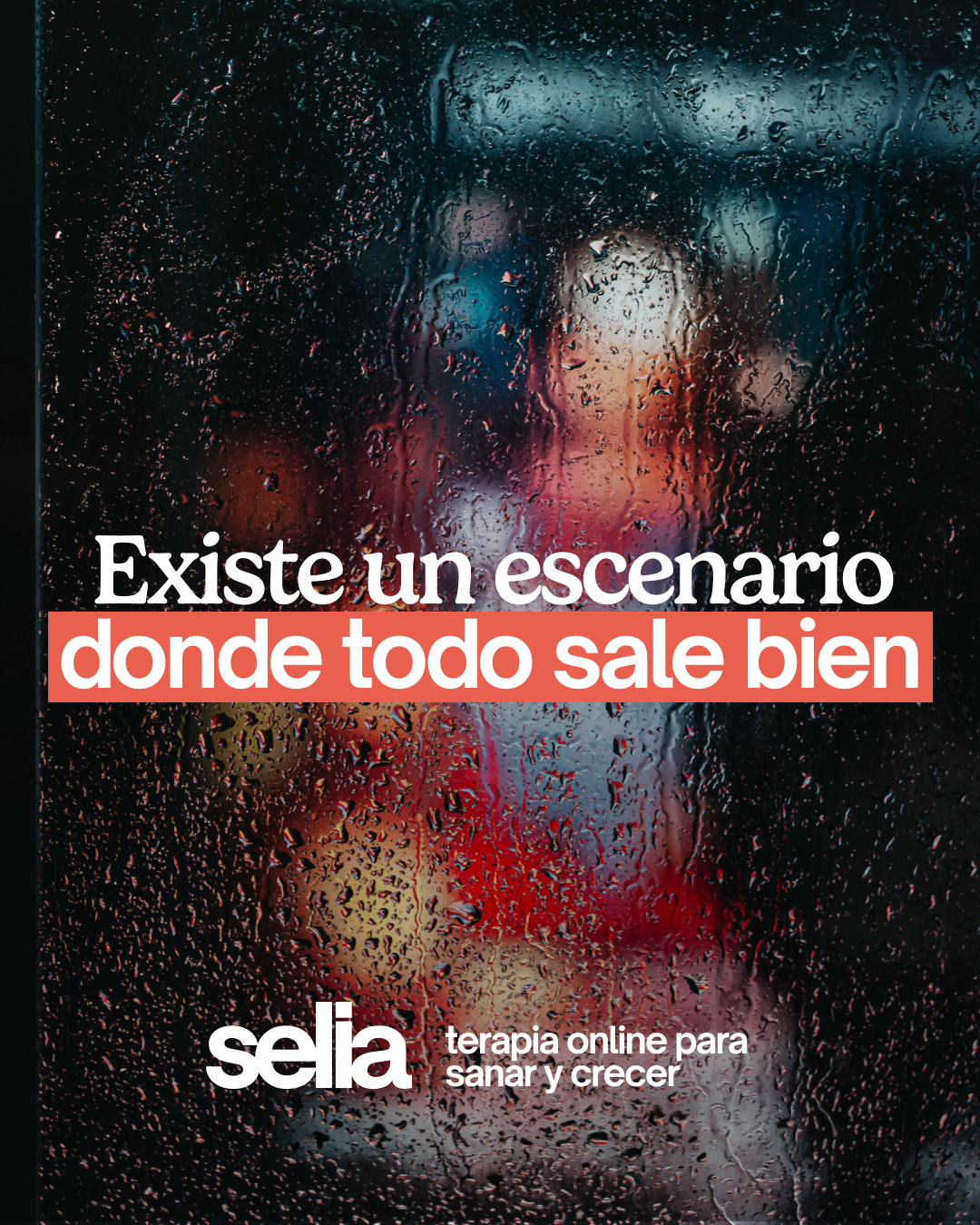 Selia Facebook ad
