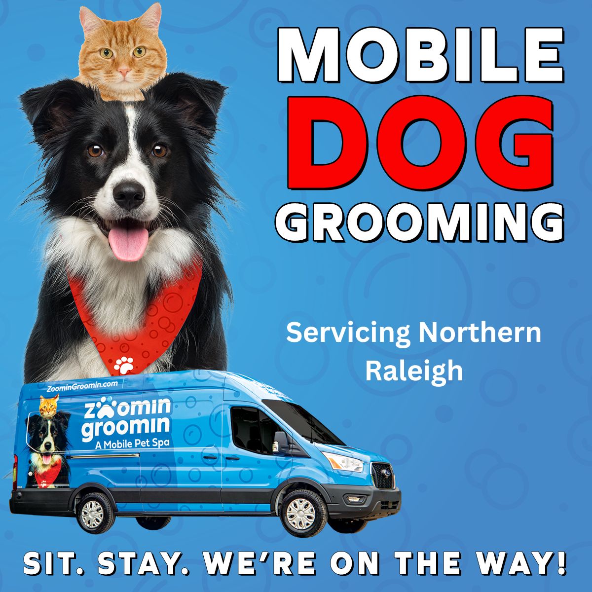 Zoomin Groomin - North Raleigh, NC Facebook ad from Mar 17, 2026