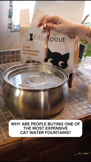 lily.nelson26 Facebook ad: The #1 Vet Recommended Cat Fountain