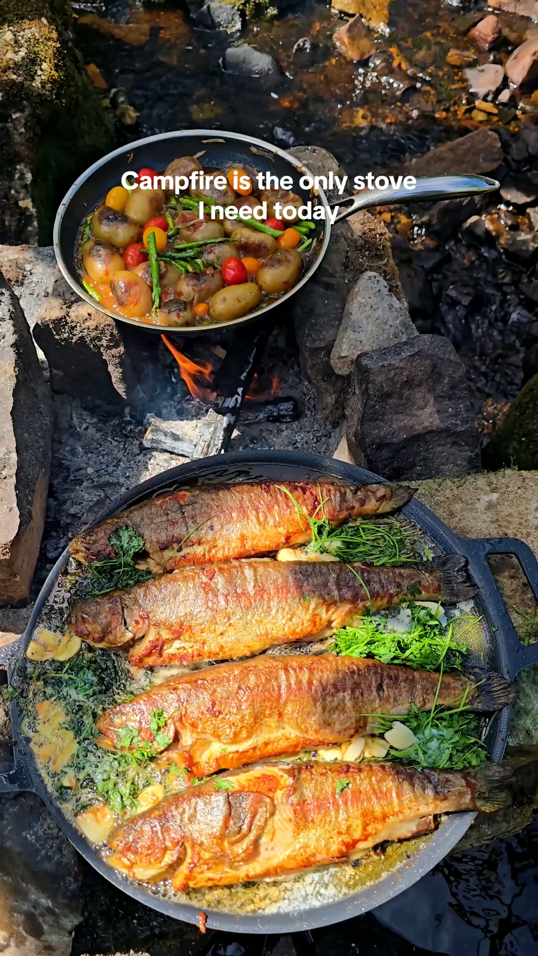 HexClad Facebook ad: Cook Anywhere with HexClad