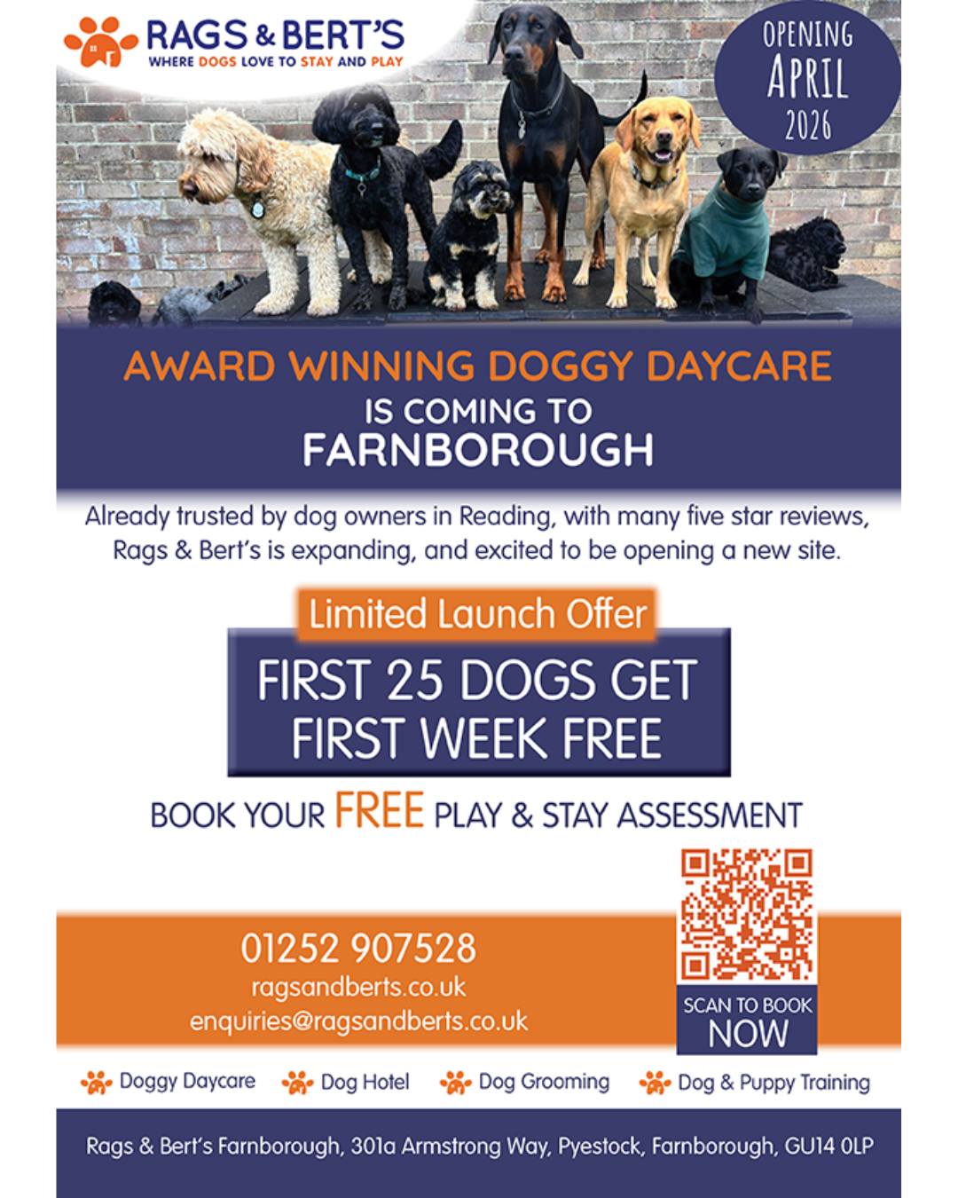 Rags & Bert's Facebook ad: Doggy Daycare Farnborough