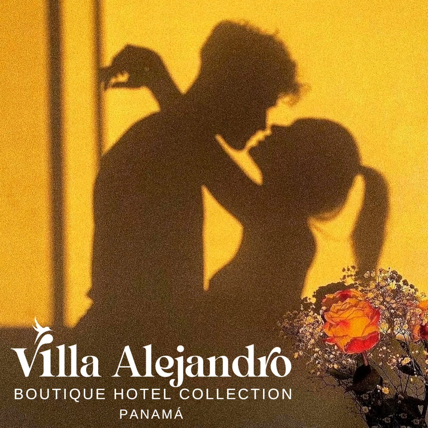 Villa Alejandro - Bajo Boquete Facebook ad