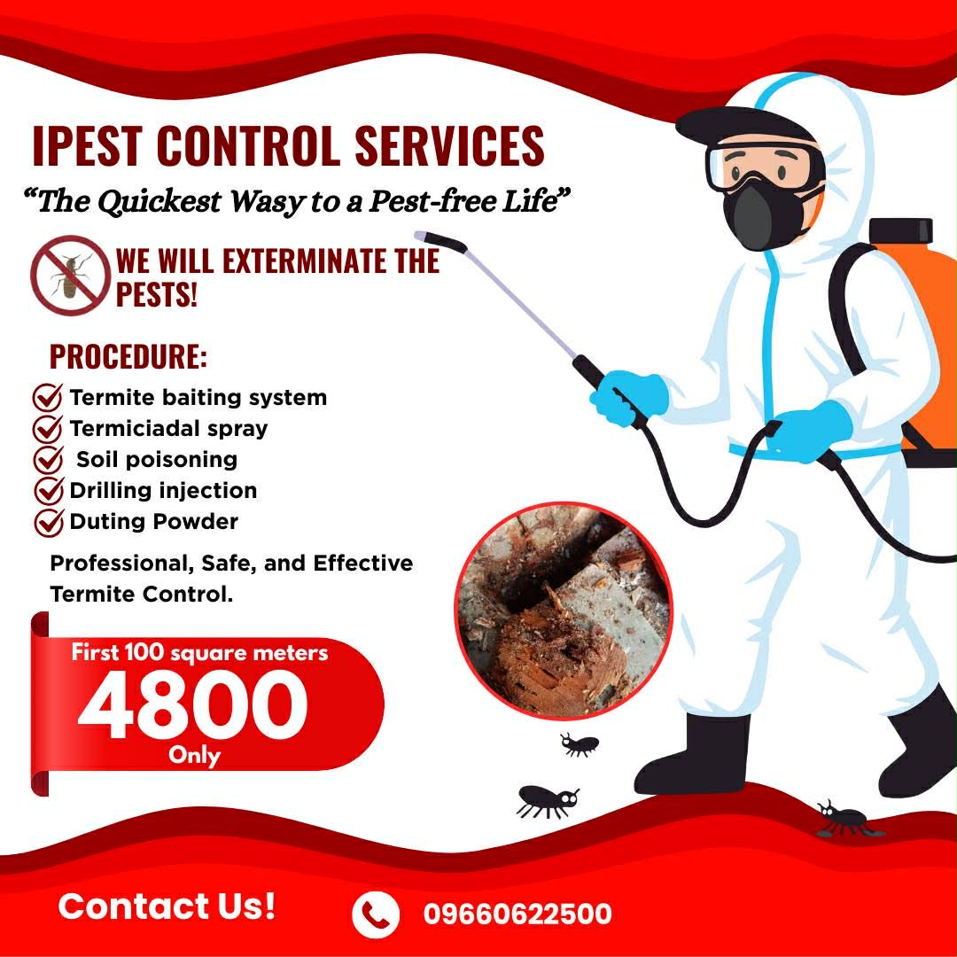 I Pest Control Facebook ad: PROTECT YOUR HOME FROM TERMITES!