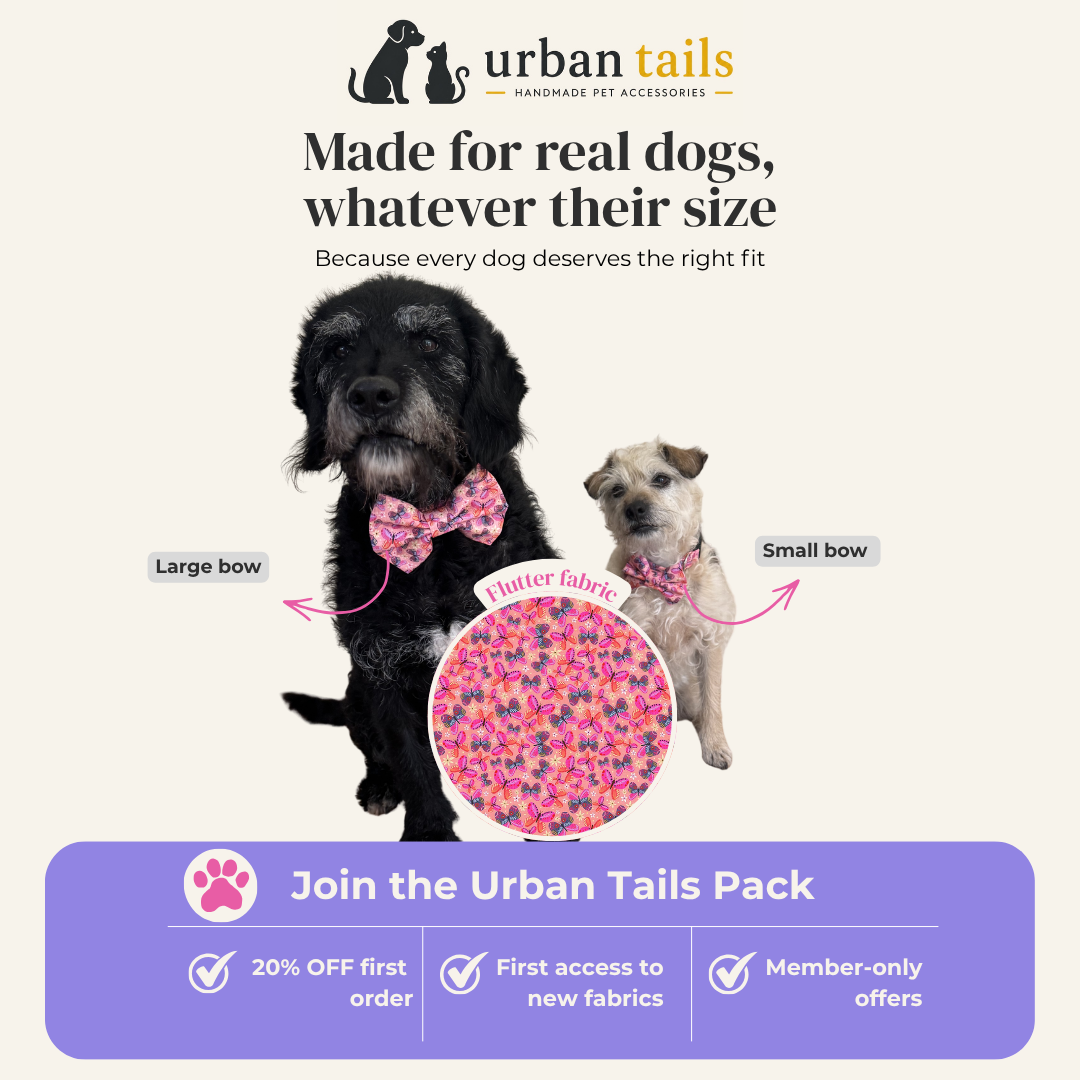 Urban Tails Handmade Pet Accessories Facebook ad