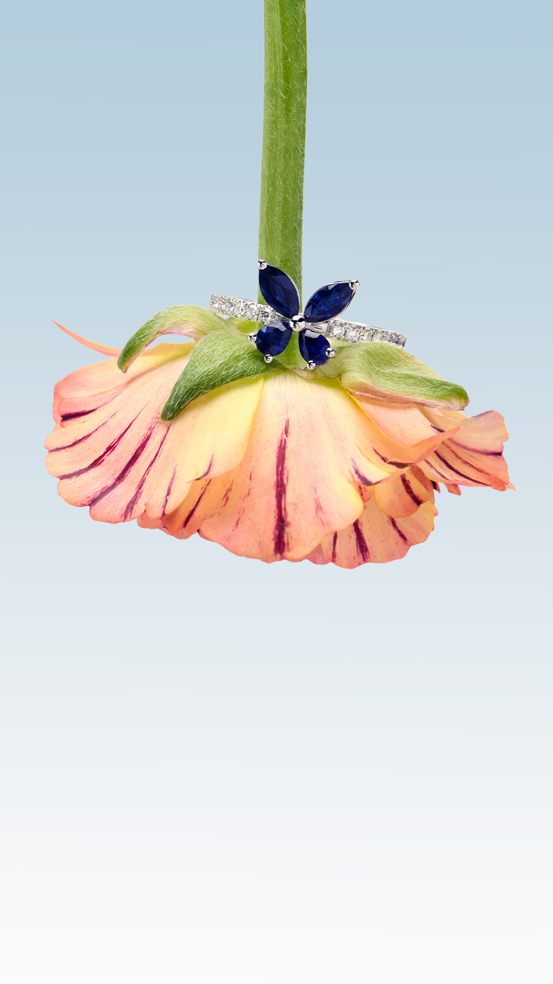 Baunat Diamond Jewellery Facebook ad