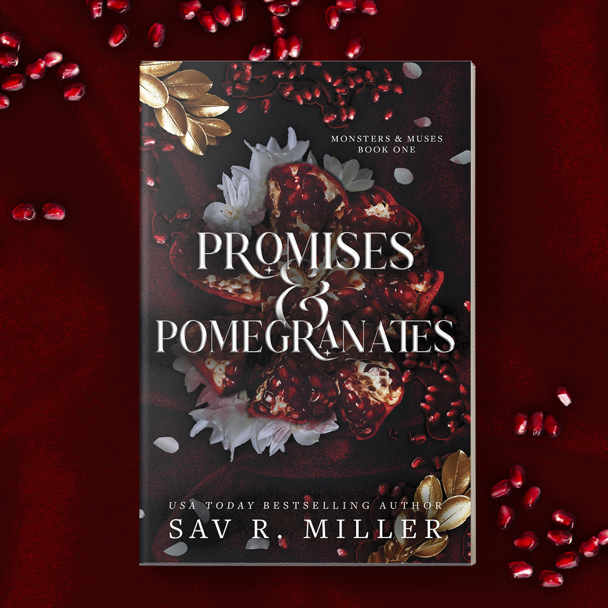 Casablanca Books Facebook ad: From USA Today bestselling author Sav R.