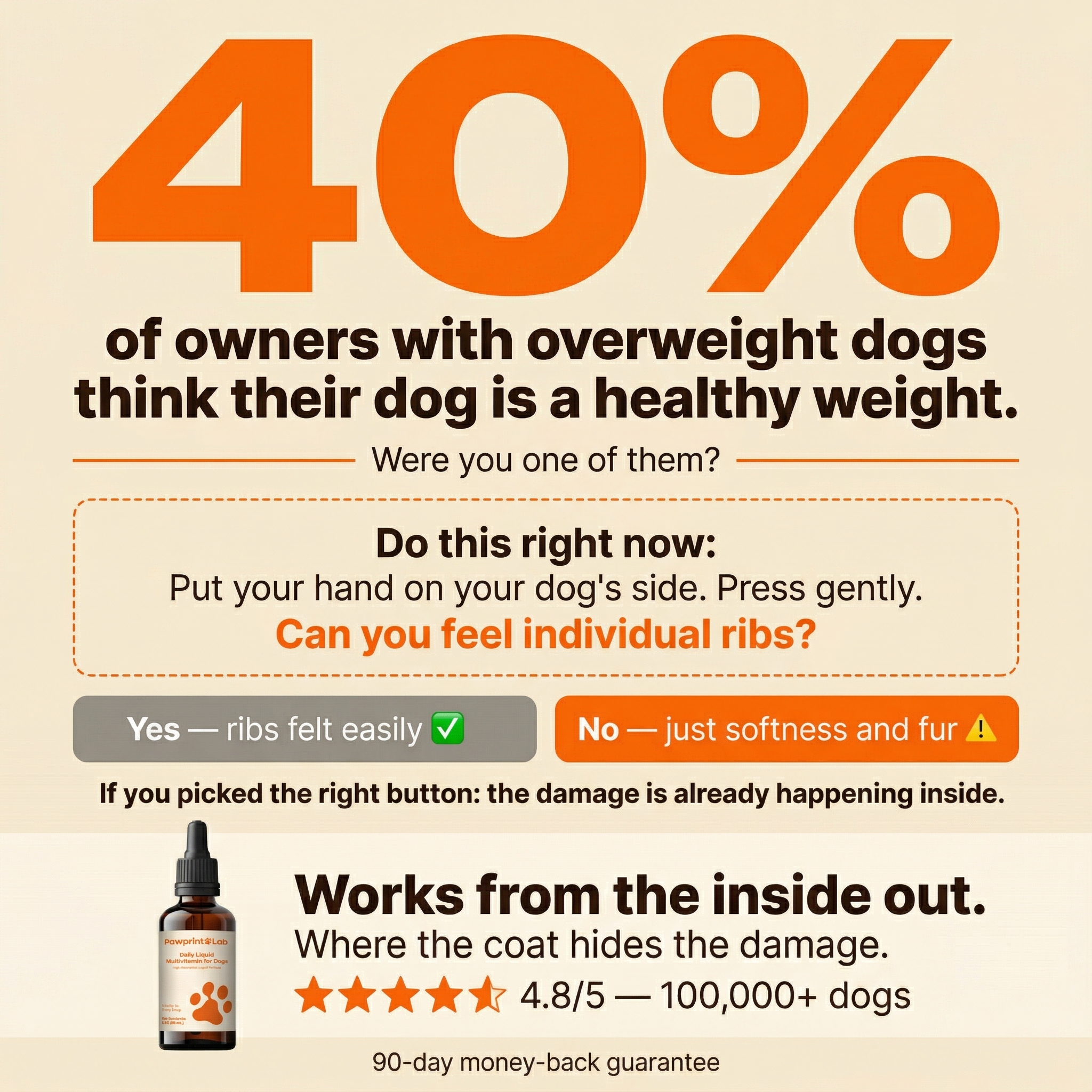 Vet-Approved Pet Products Facebook ad