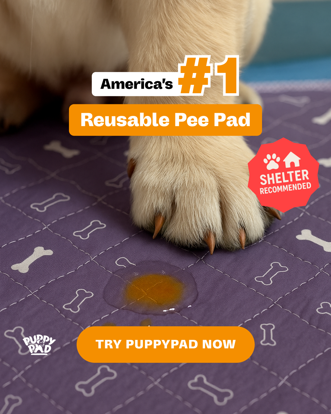 PuppyPad Facebook ad