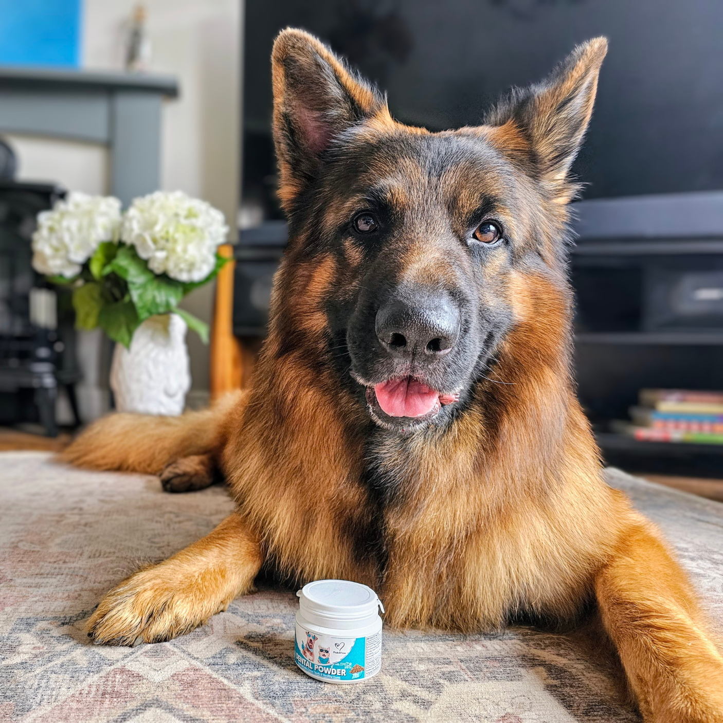 Nutri Paw Facebook ad