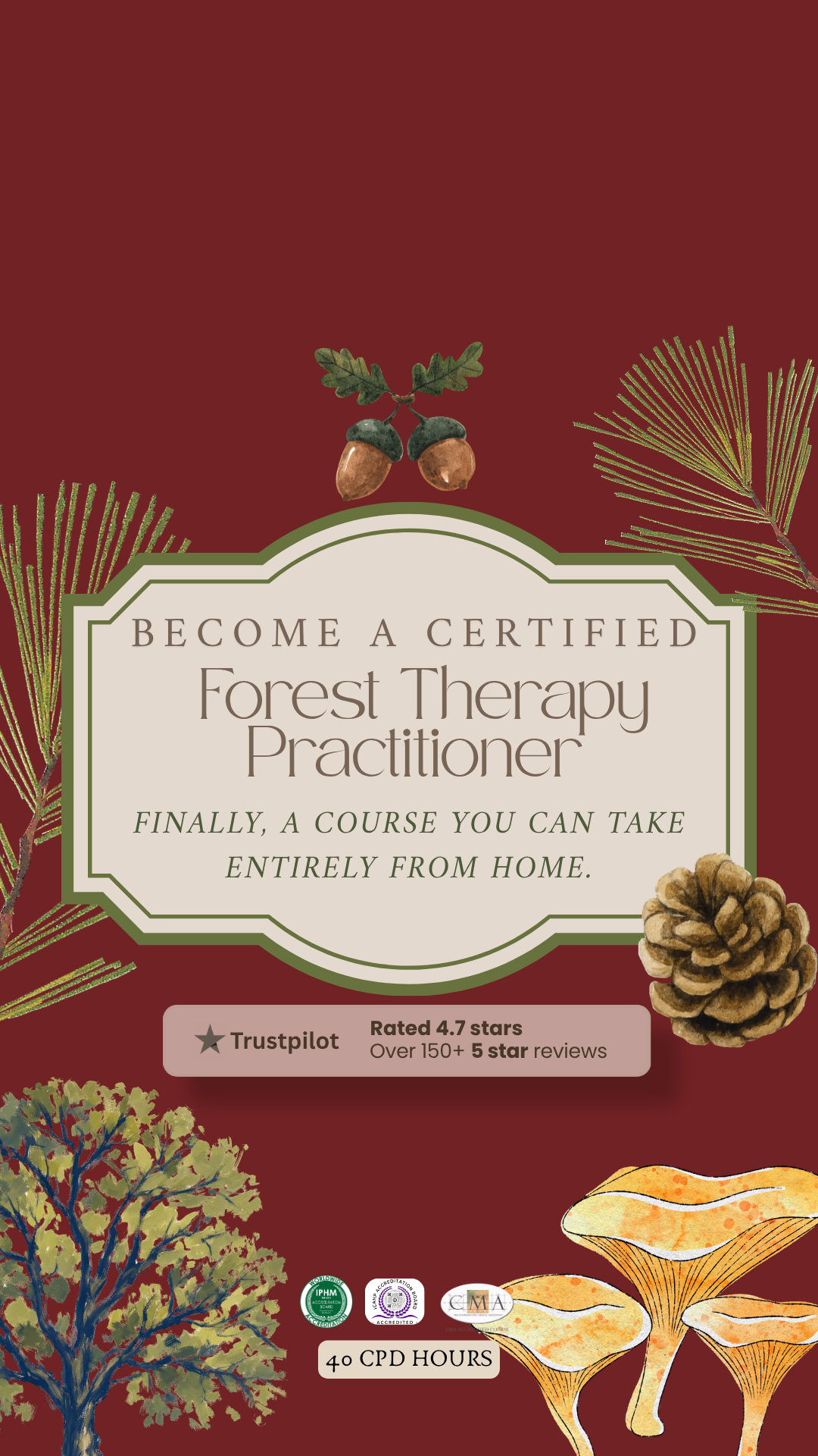 Alma Oasis Facebook ad: Become a ππ²πΏππΆπ³πΆπ²π± Sylvotherapy Practitioner