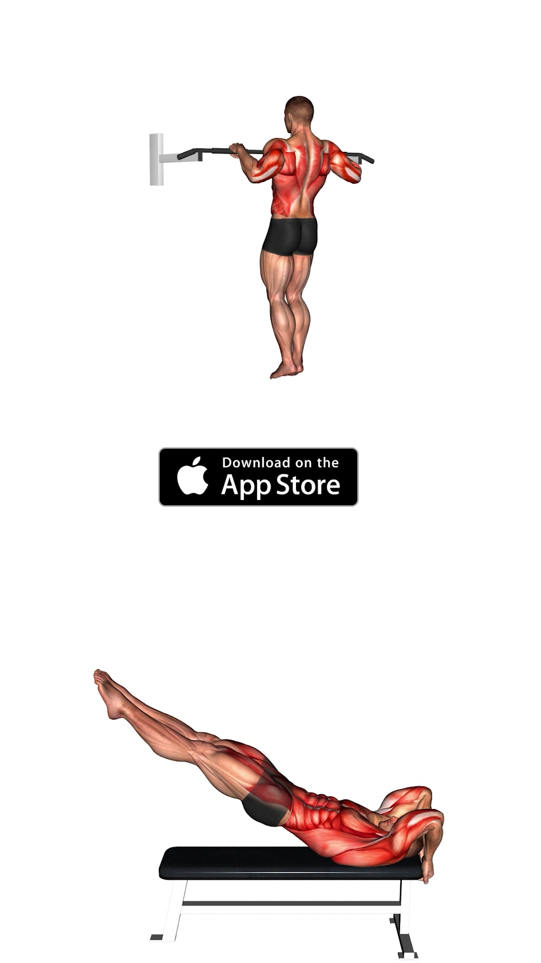 Home Workout Facebook ad