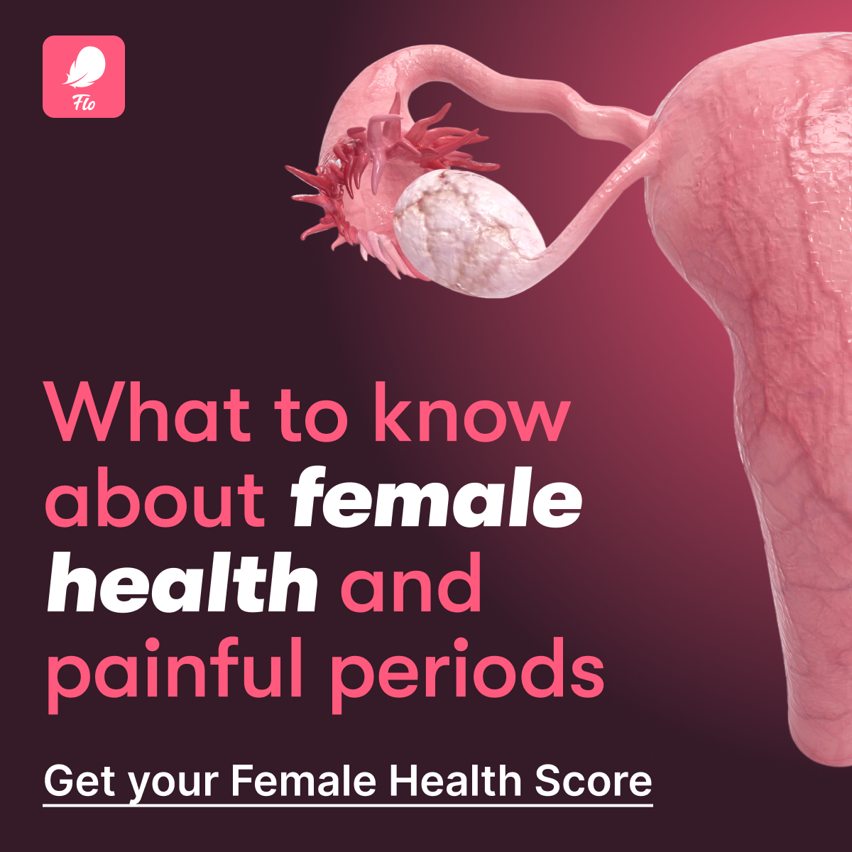 Flo Period Tracker App Facebook ad