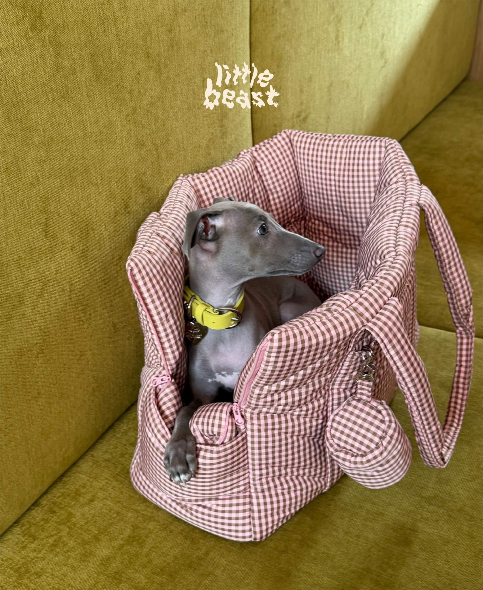 Little Beast Facebook ad: THE ALL DAY, EVERY DAY CARRIER FOR YOU AND YOUR DOG