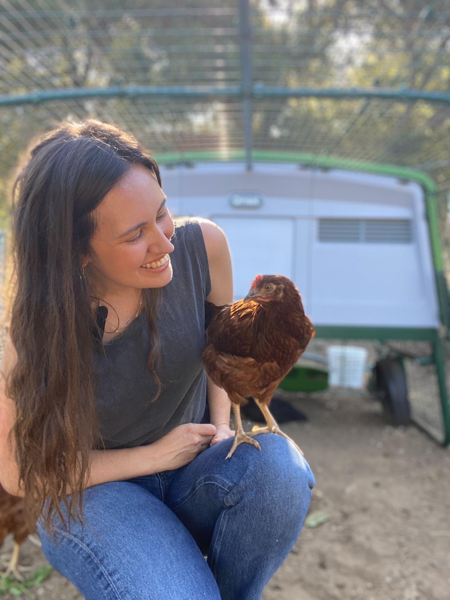 Omlet - Les produits pour vos animaux Facebook ad