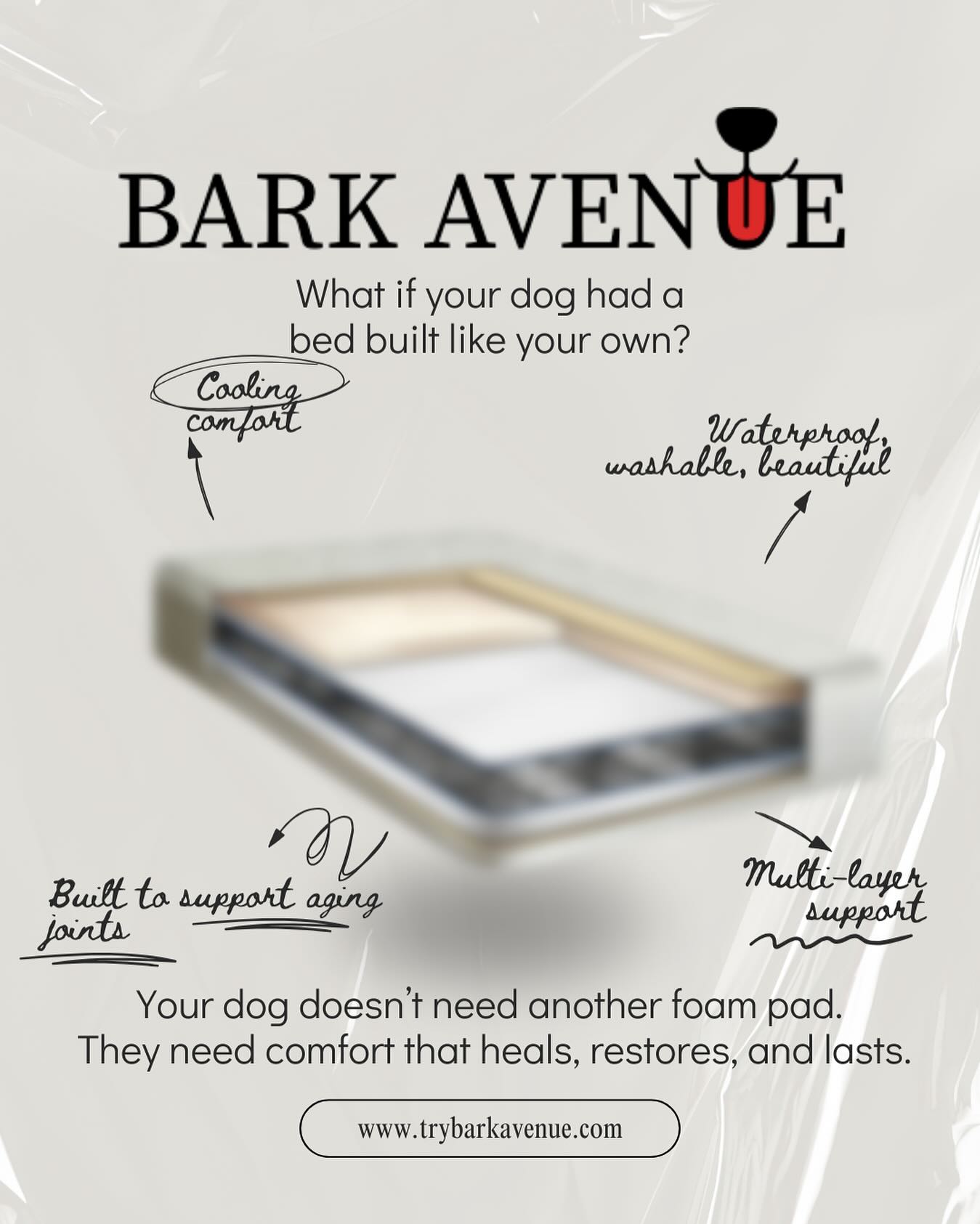 Bark Avenue Facebook ad: Something for you aging pup <3