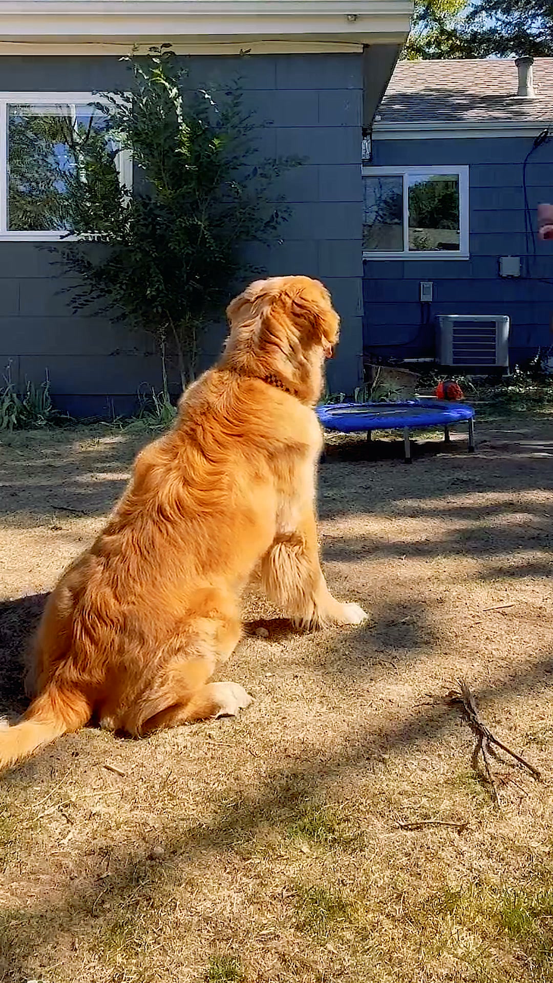 Uproot Clean Facebook ad: Say goodbye to loose fur, dirt, and unpleasant…