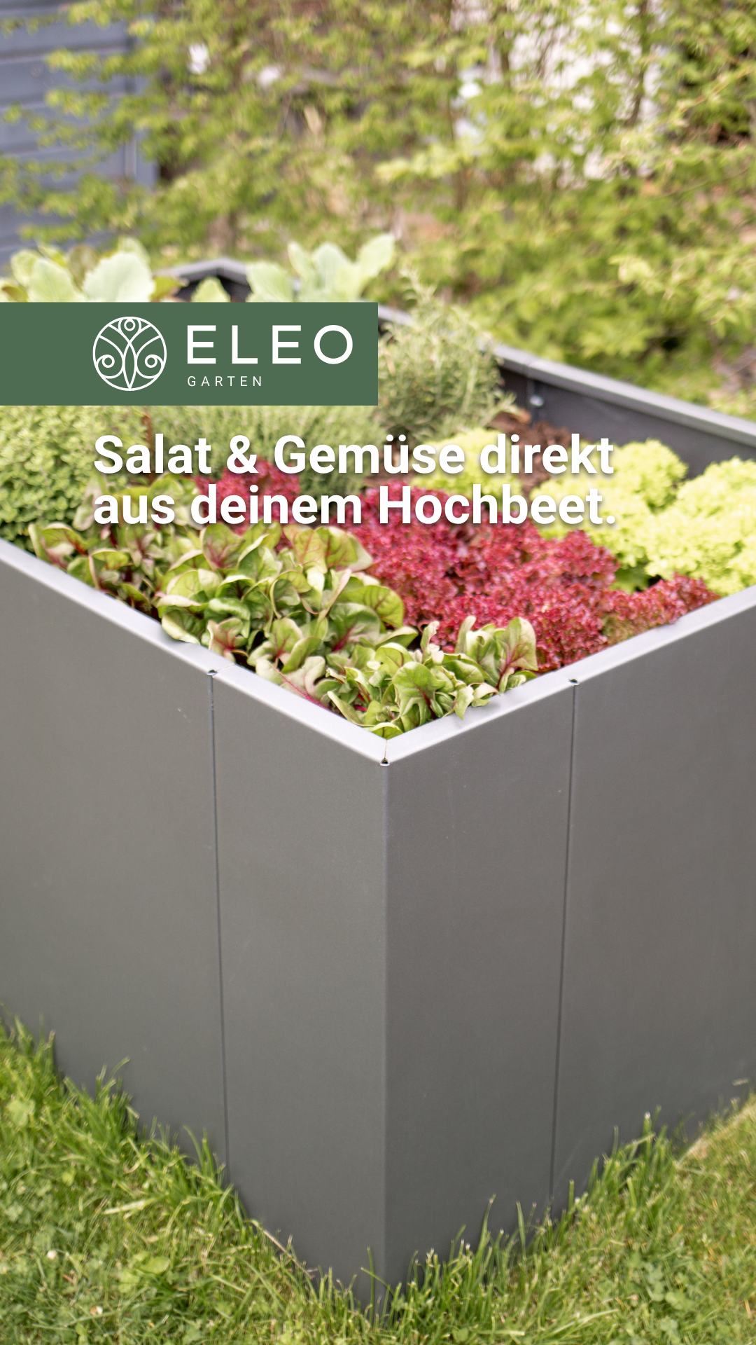 ELEO Facebook ad